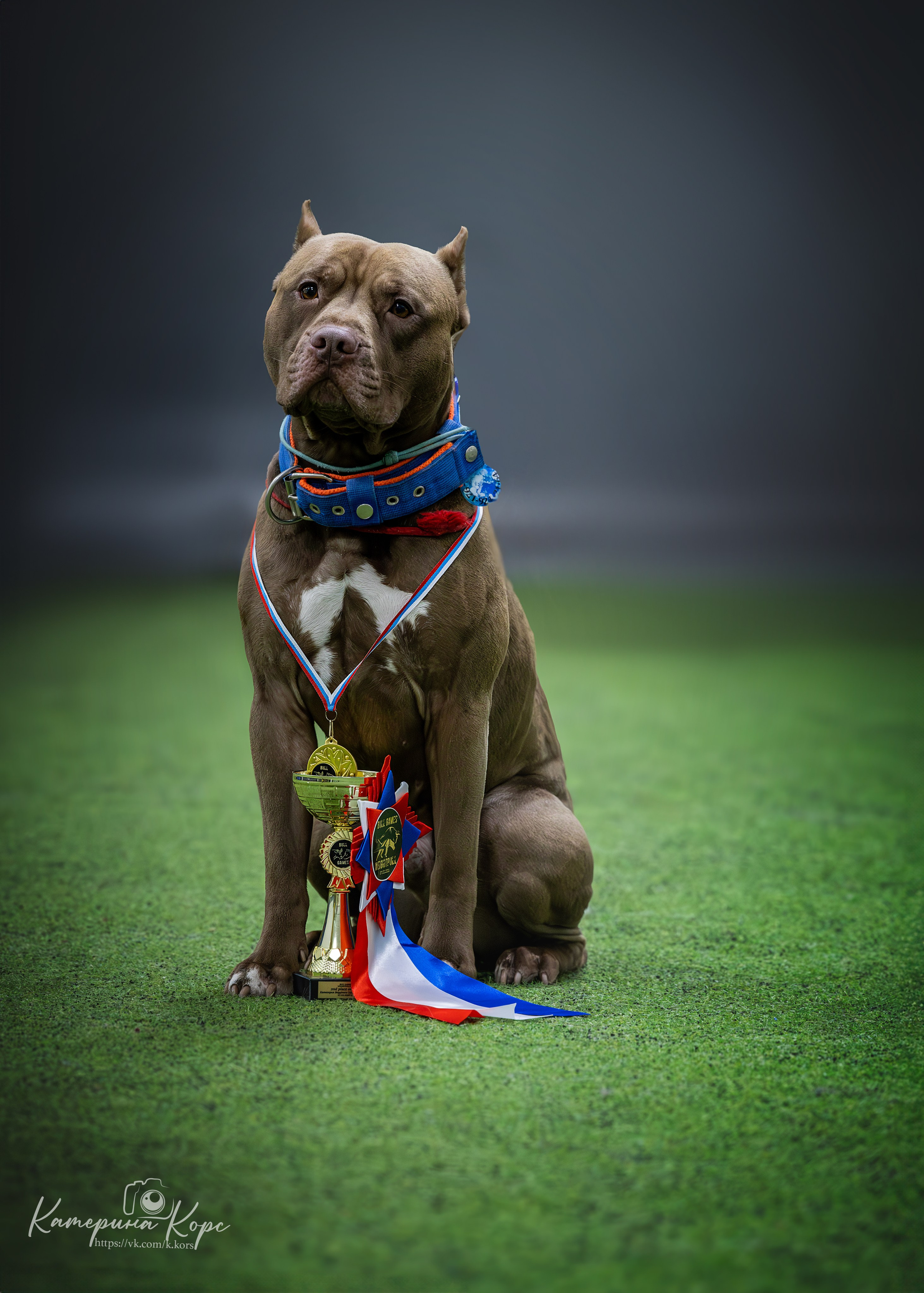 Спорт. Главная