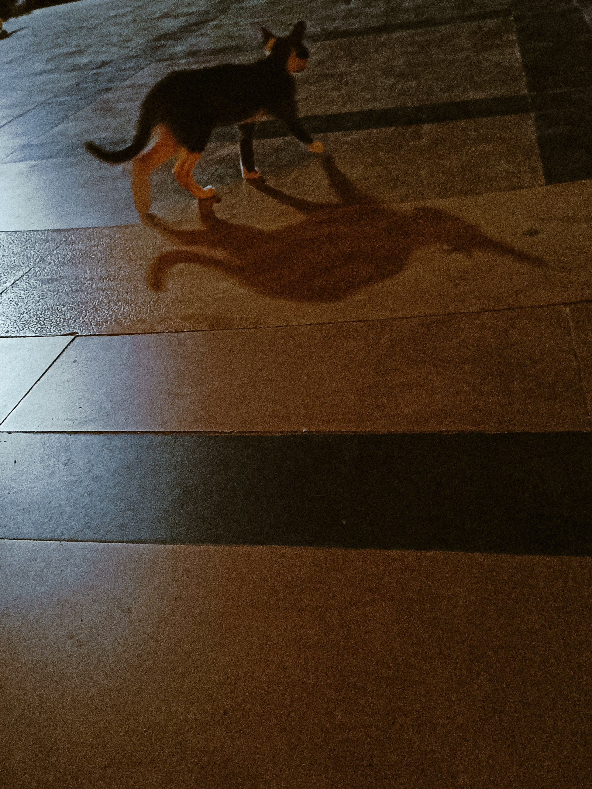 Мобильная. Jorgis — фотограф в Хургаде / обучение фотографии