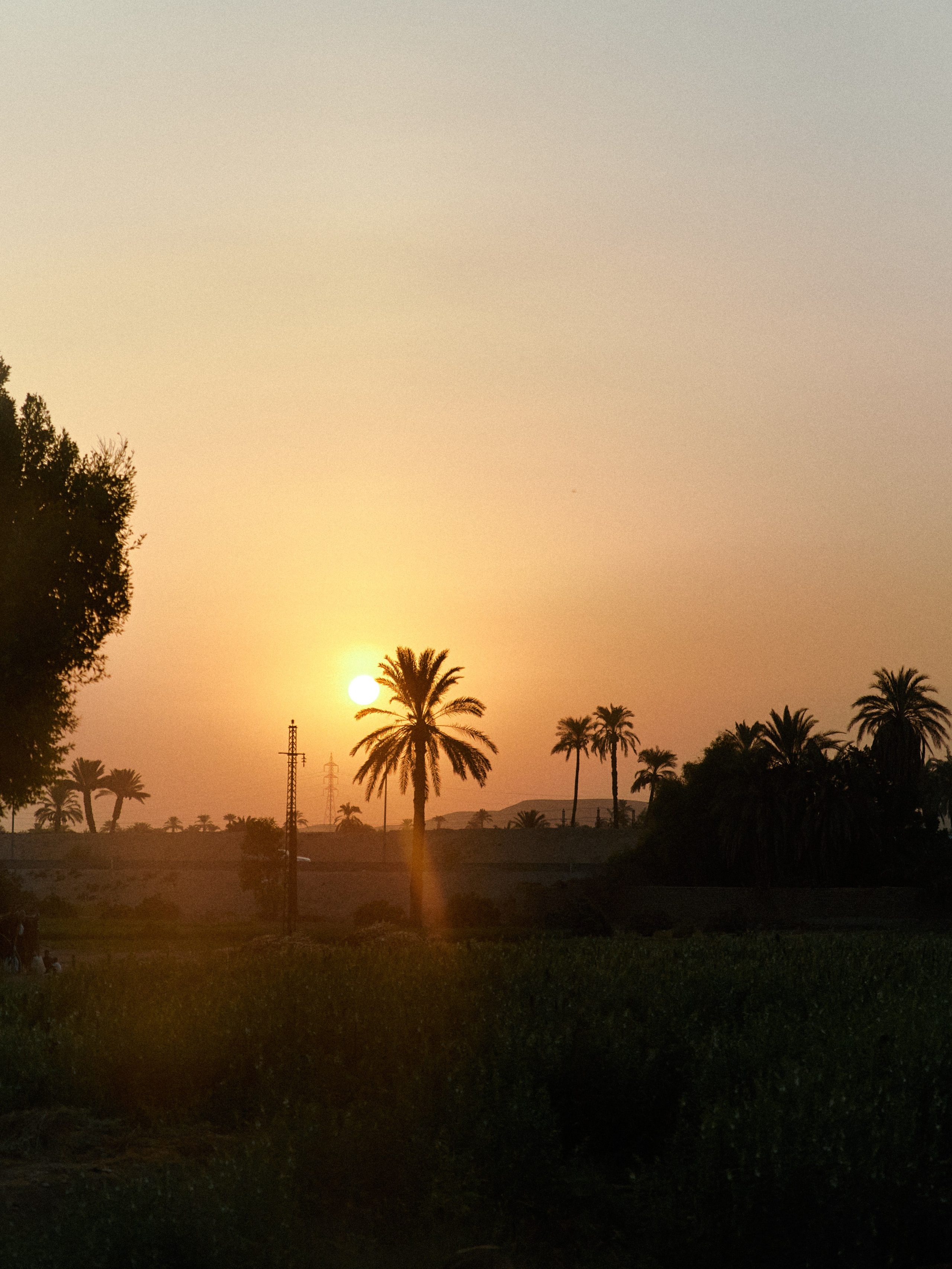 Диптих. Jorgis — фотограф в Хургаде / обучение фотографии