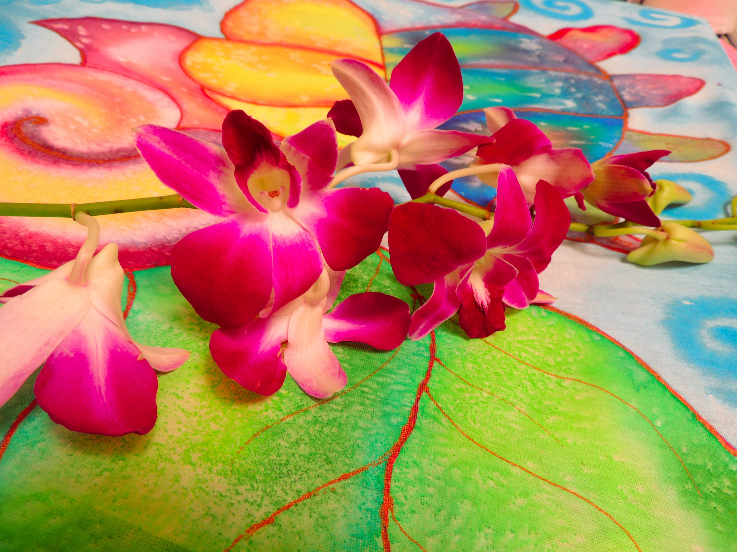 Выставка «Скрепка Экспо» 2017. Ефремова Ольга. Художник