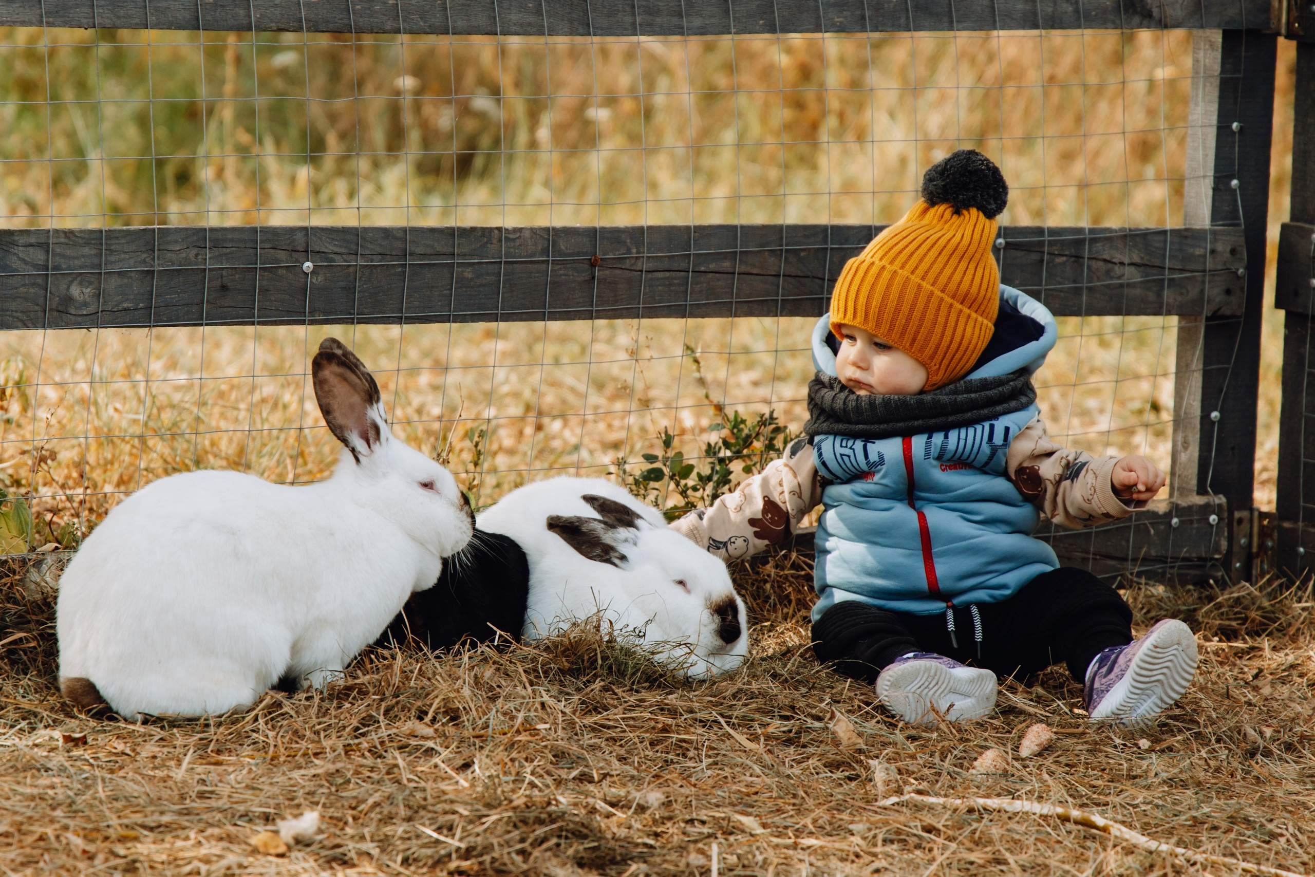 Семейная фотосессия в Чернянке. Фотограф Максим Никонов