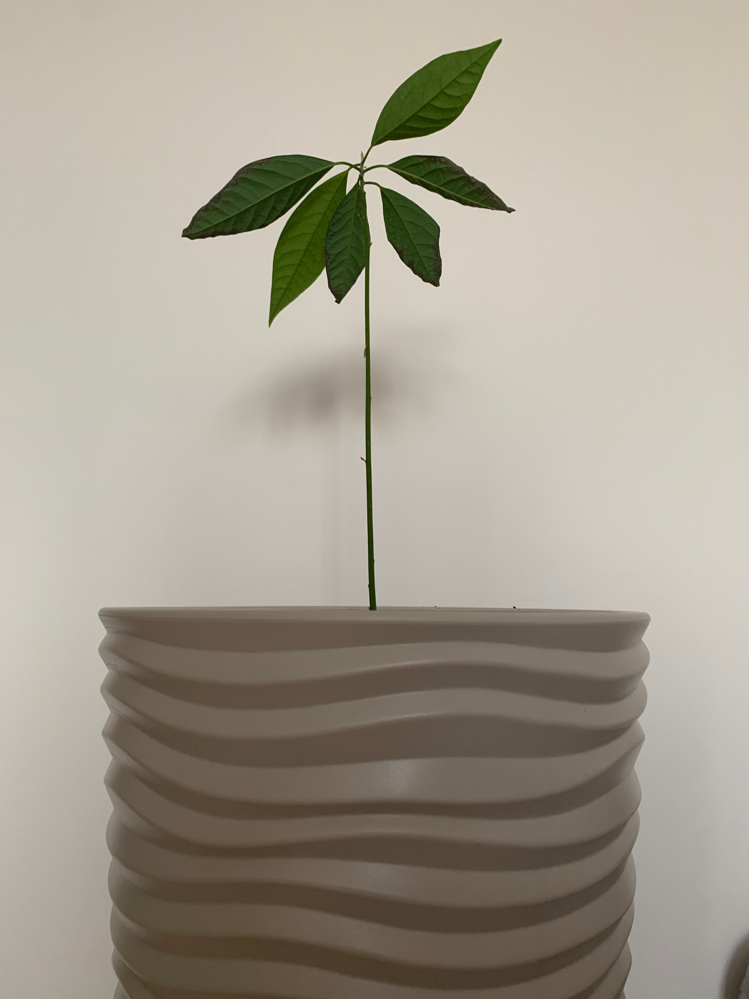 2022. Тащилин Сергей. Фотографии. Жизнь. Хобби