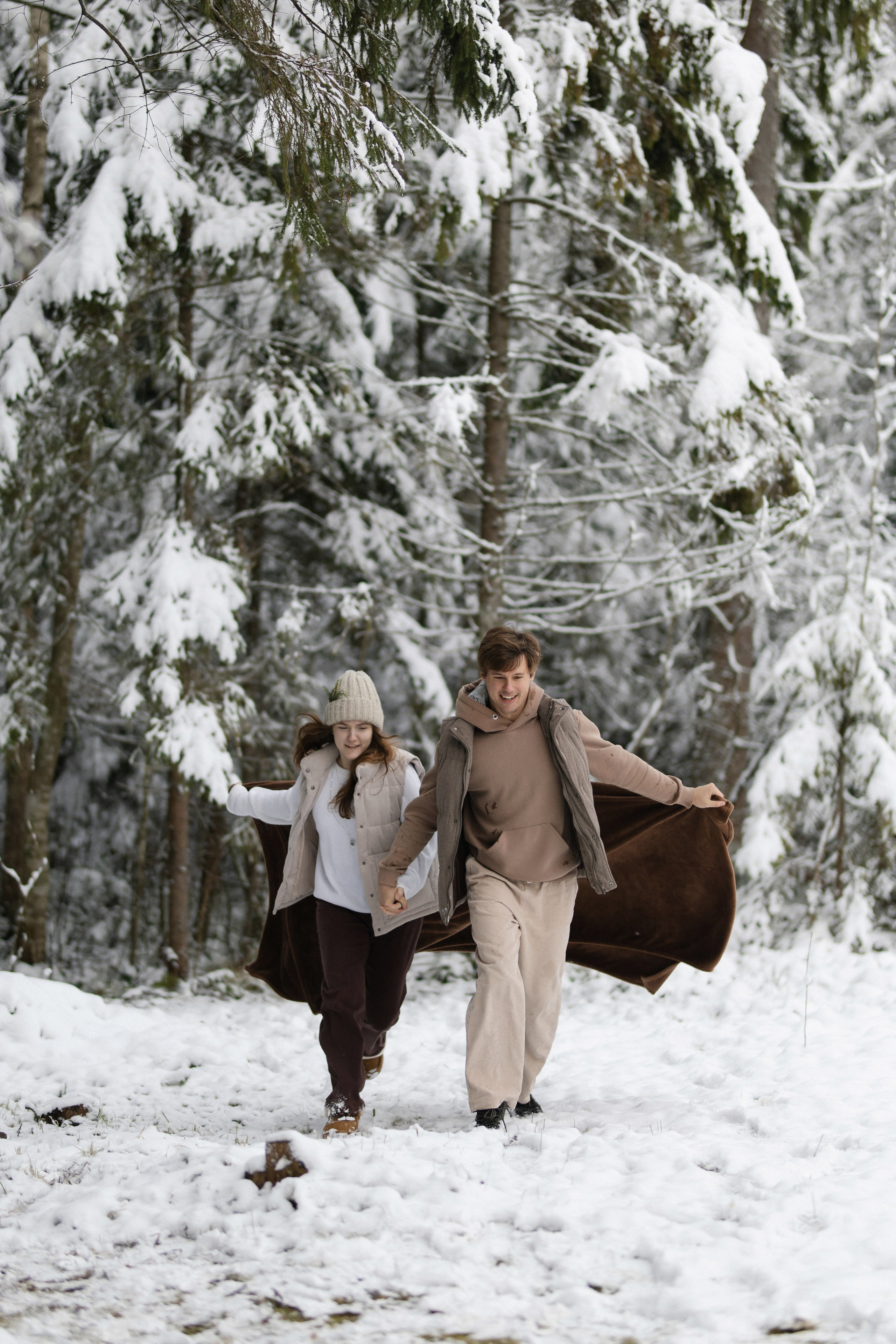 «ЗИМНИЙ ЛЕС». Maria Startseva Photo