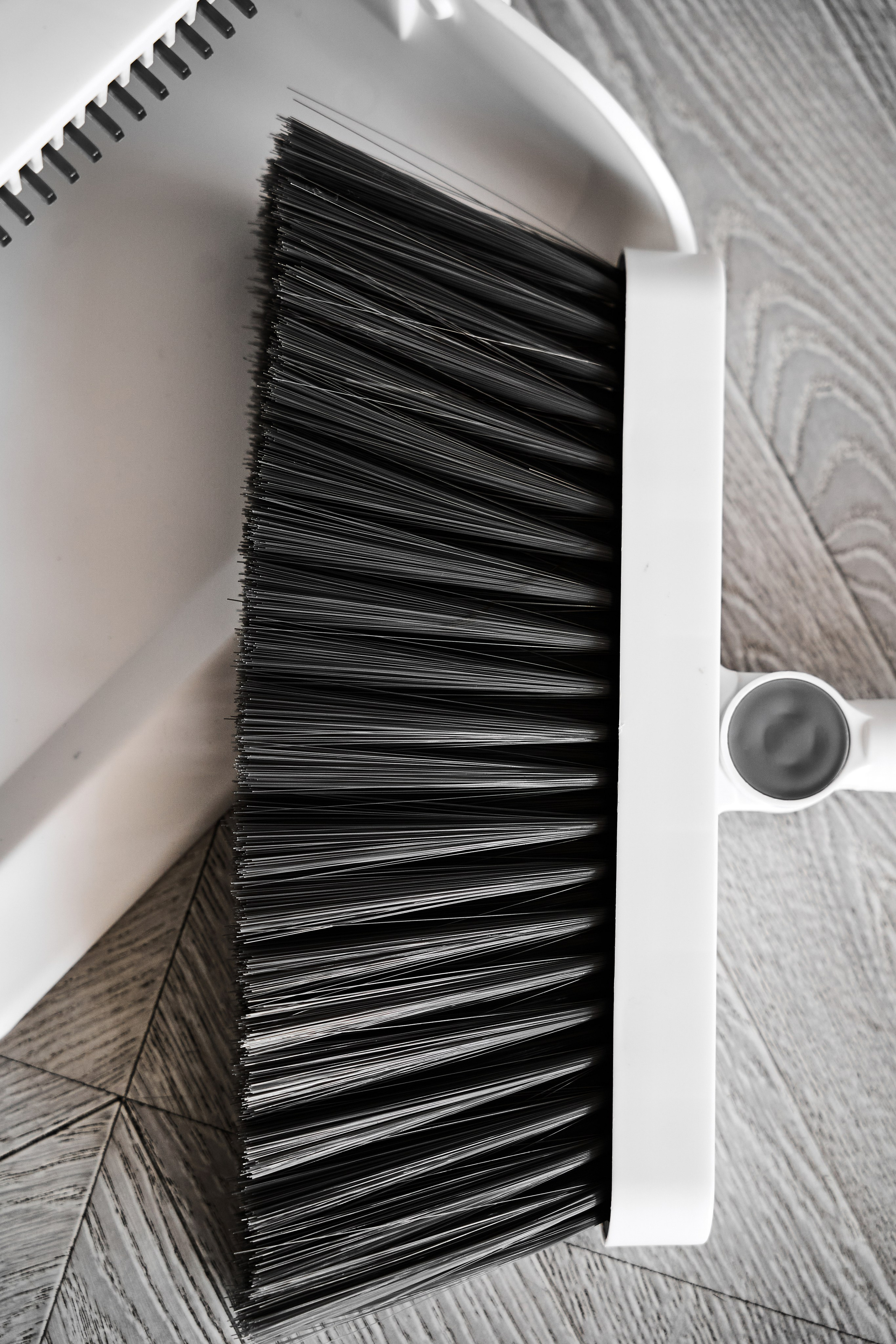 White cat. Фотограф в Москве Казакова Анна