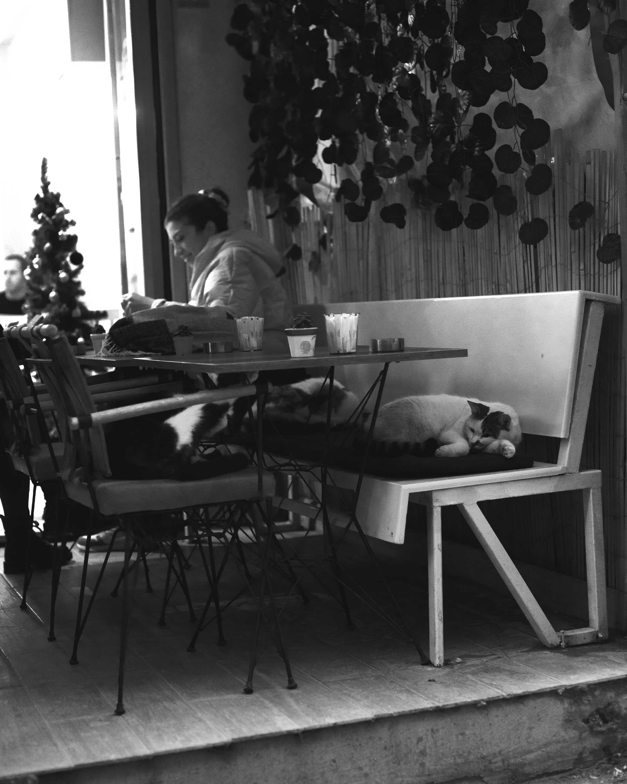 Путешествие по Стамбулу: истории в каждом кадре. Коммерческий и предметный фотограф в Гуанчжоу Коваленко Александр