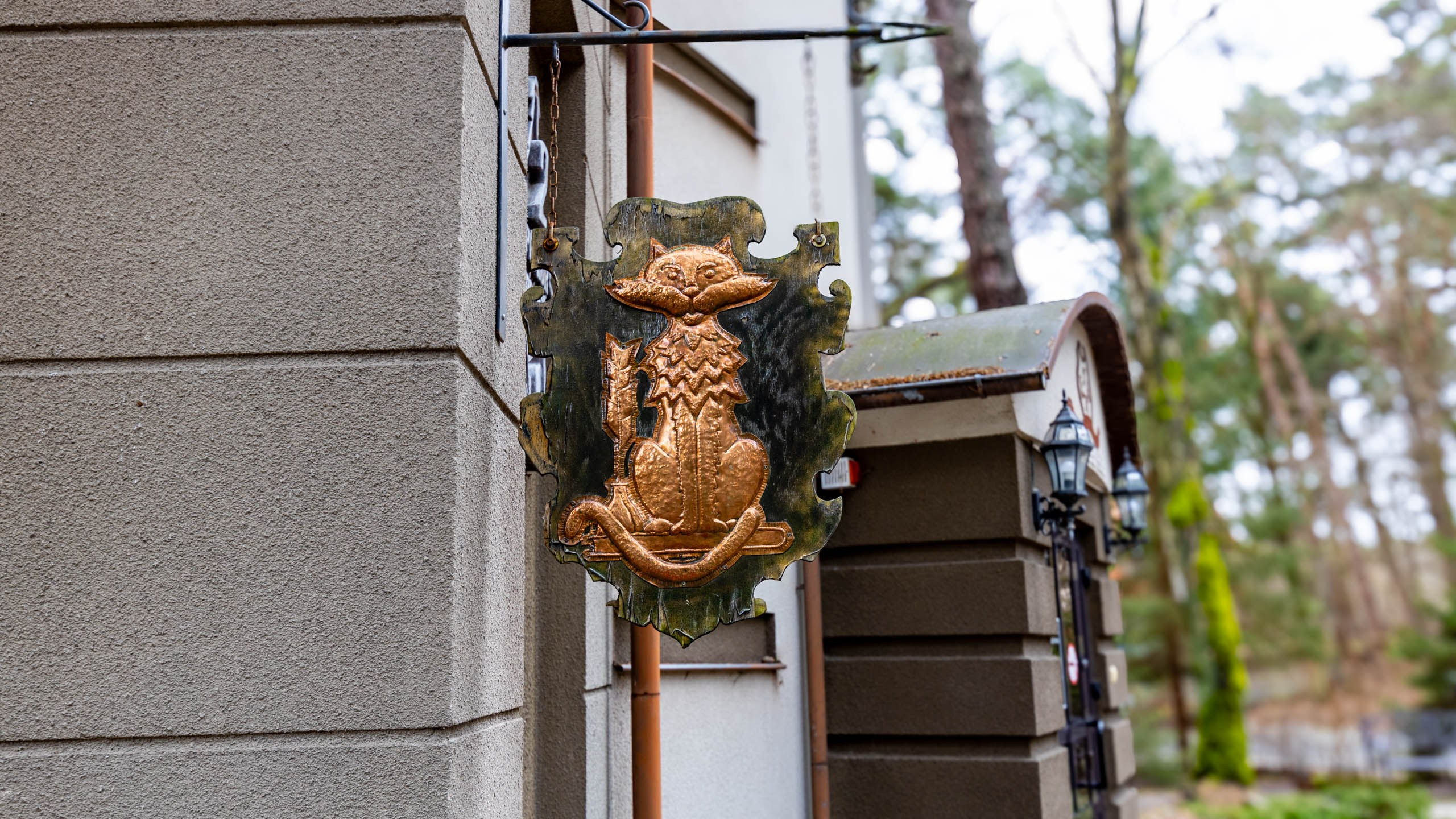 2024 01 Калининград (Светлогорск, Зеленоградск). Фотографии