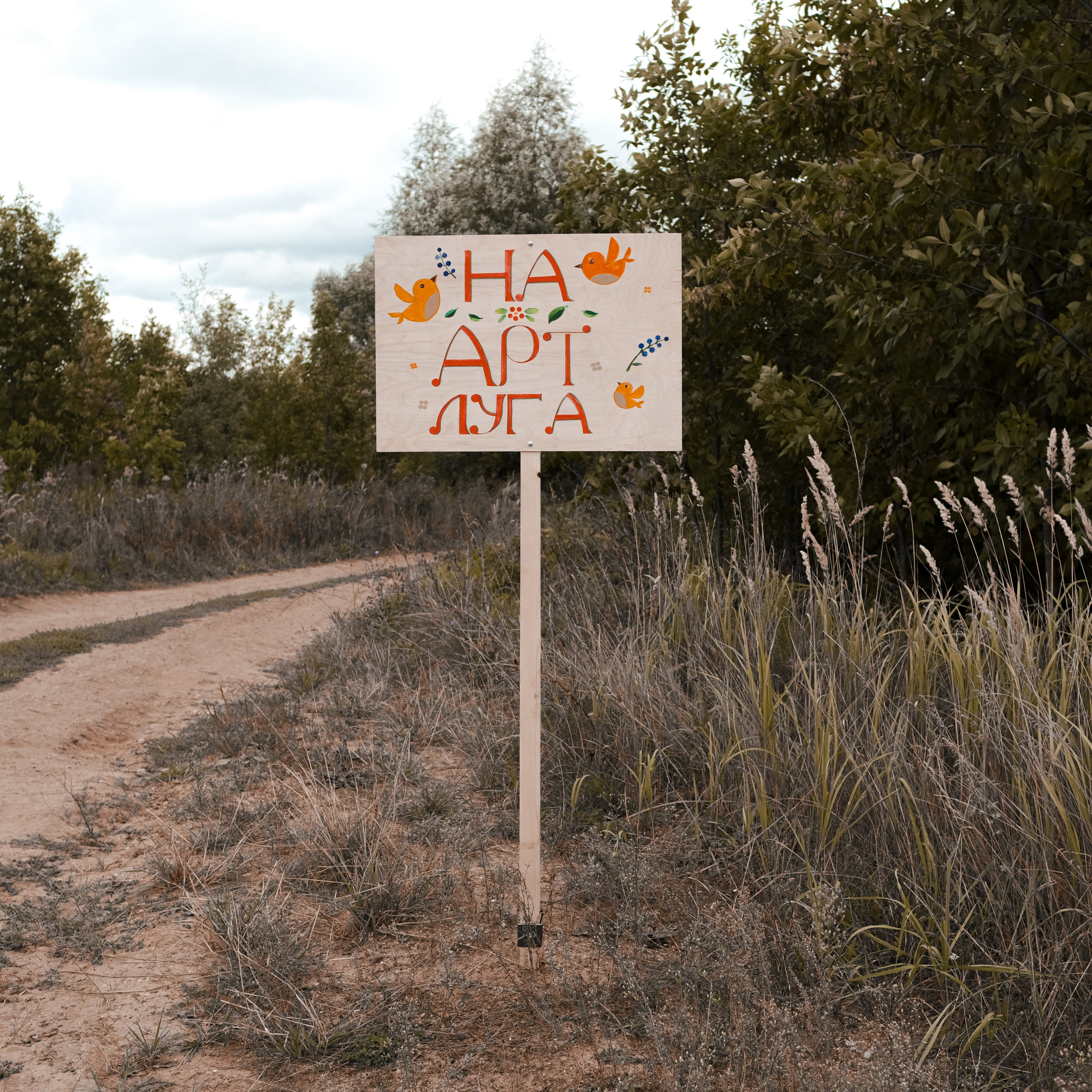 Эко-фестиваль АртЛуга 2022. LIYALEE PHOTO