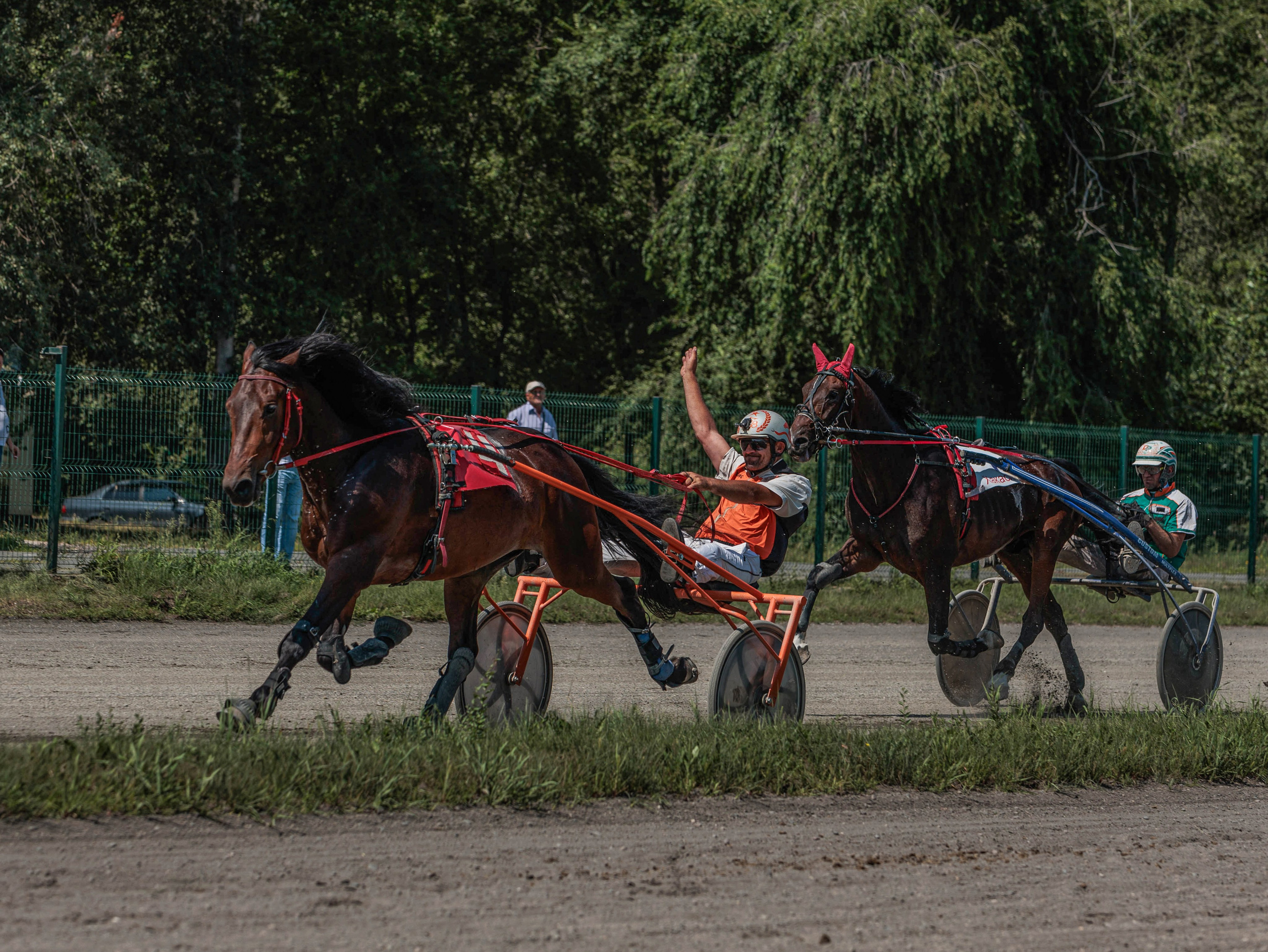 Зарисовки Абаканский ипподром 2025. Конный фотограф в Красноярске — Любовь Похабова
