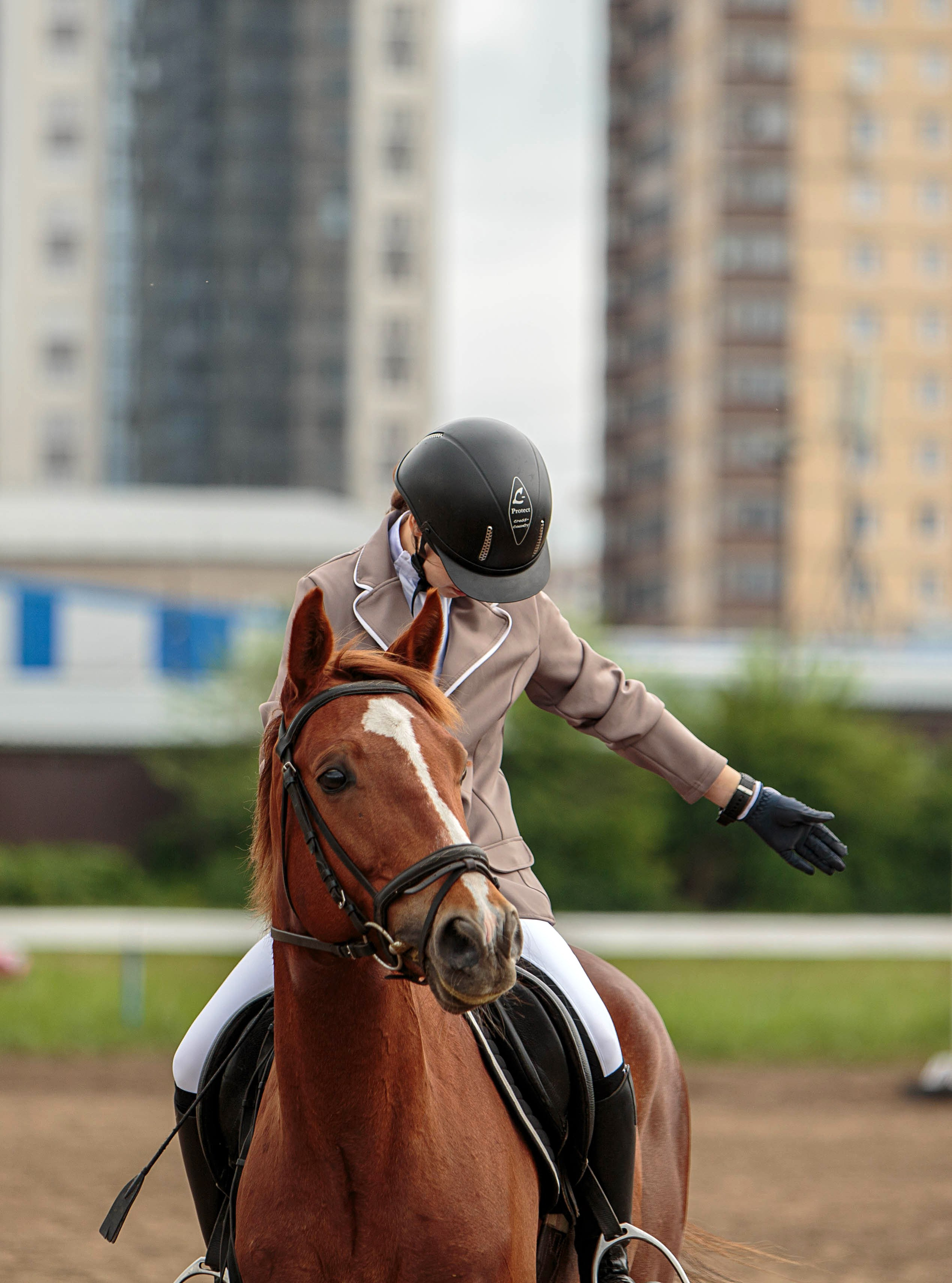 2024. Конный фотограф в Красноярске — Любовь Похабова