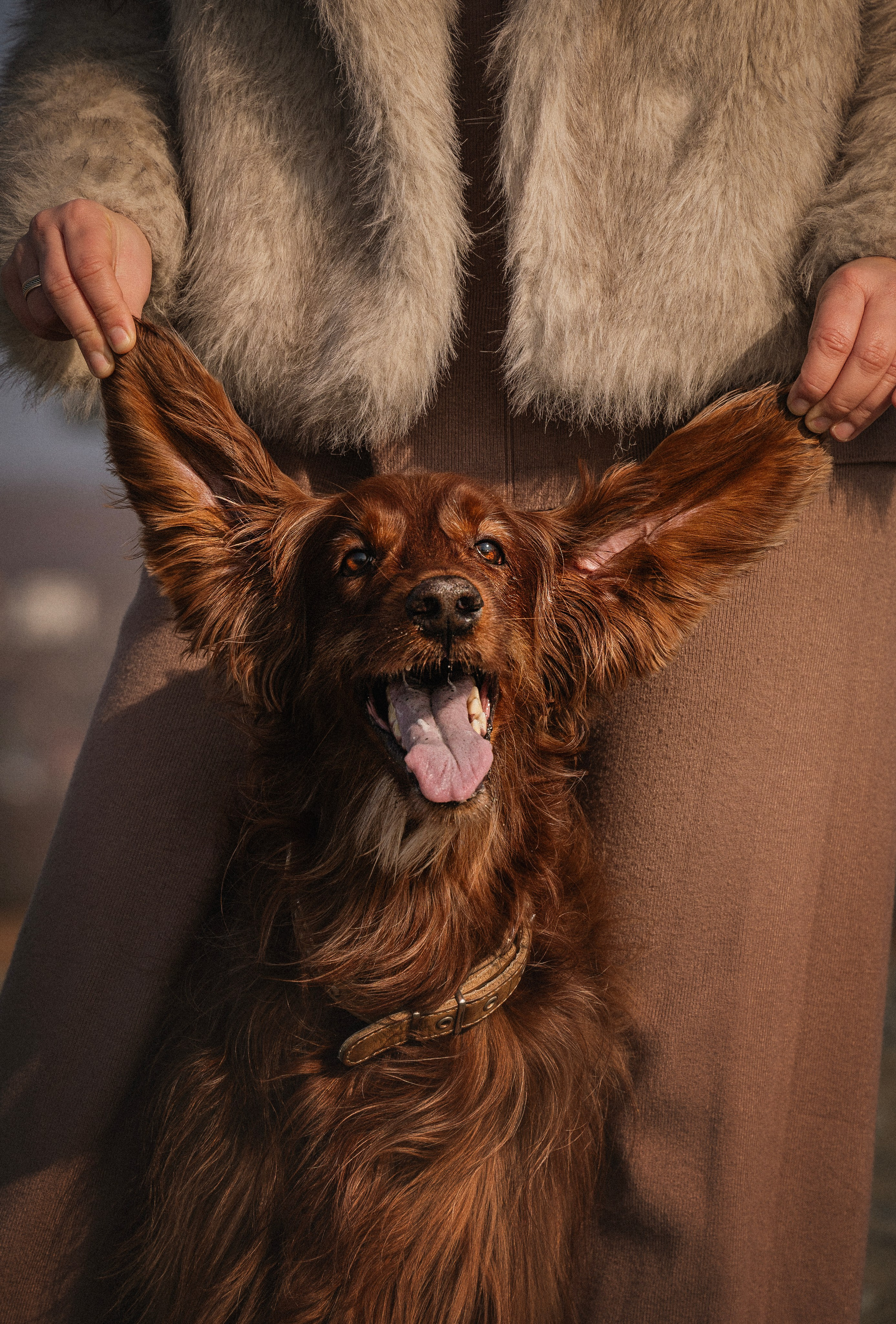 Love Story. Семейный фотограф анималист г. Находка