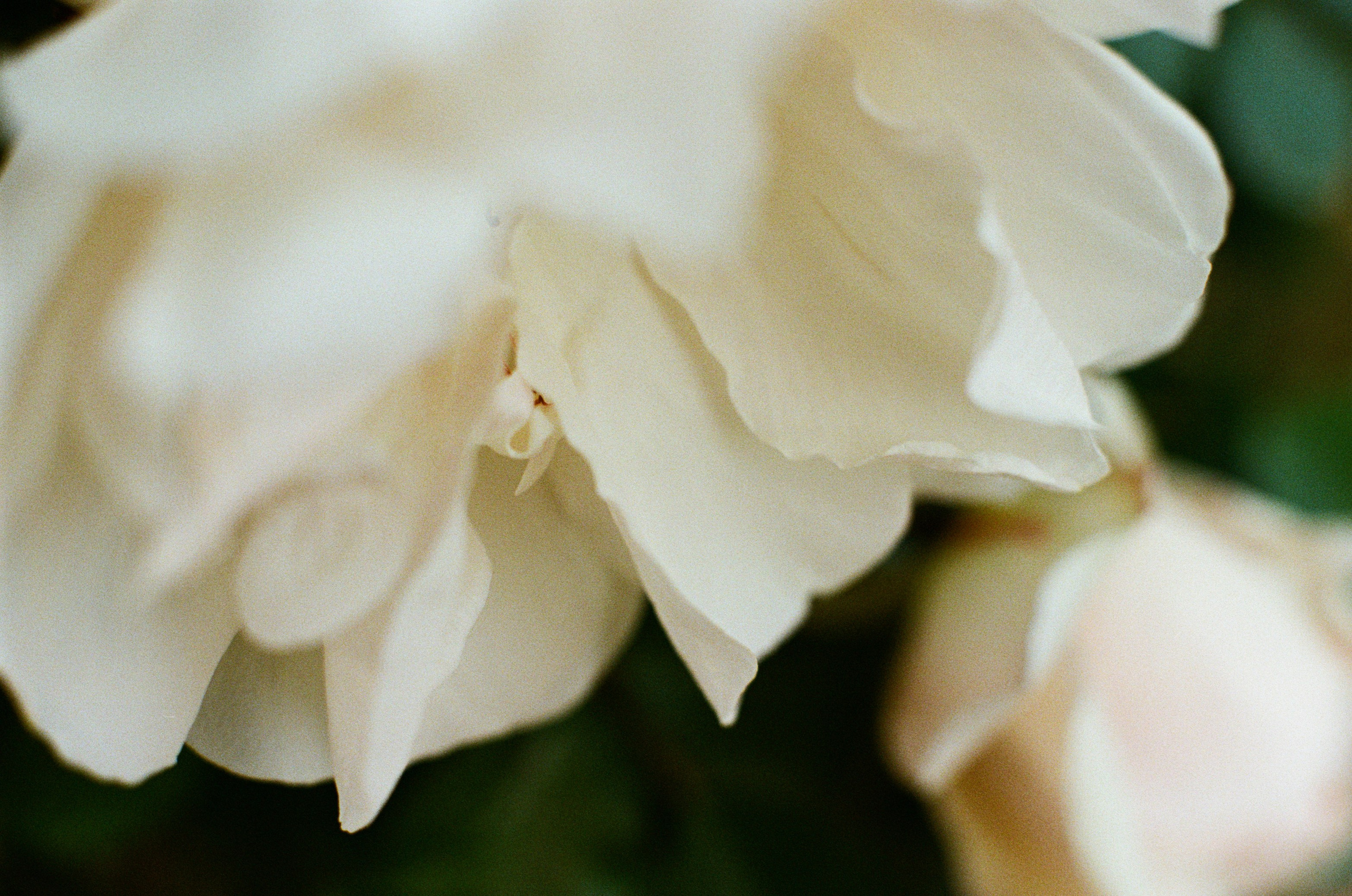 Point of no reply // ukraine, crimea VI. EVER EXPOSED