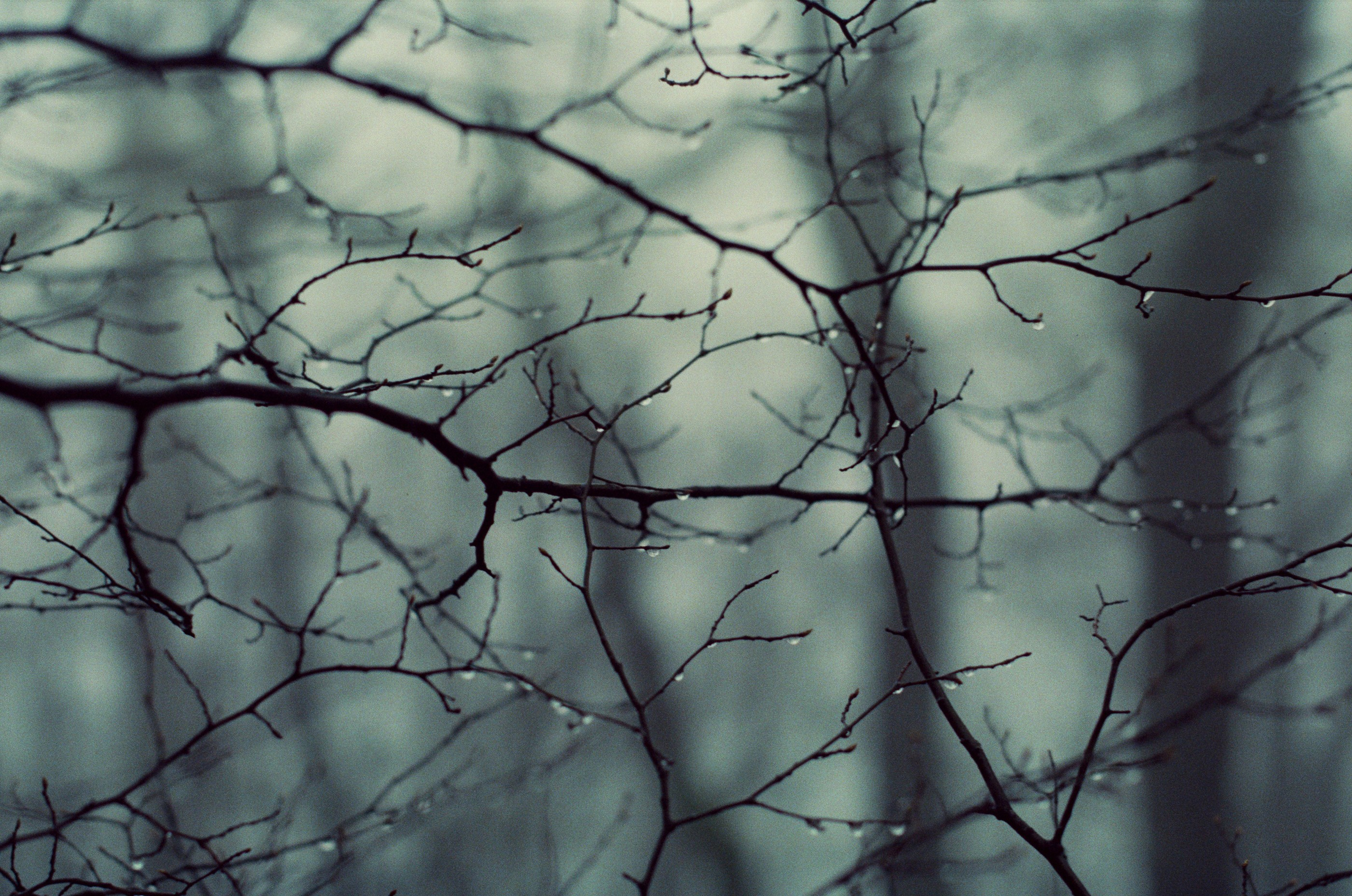 Some kind of madness // ukraine, crimea. EVER EXPOSED