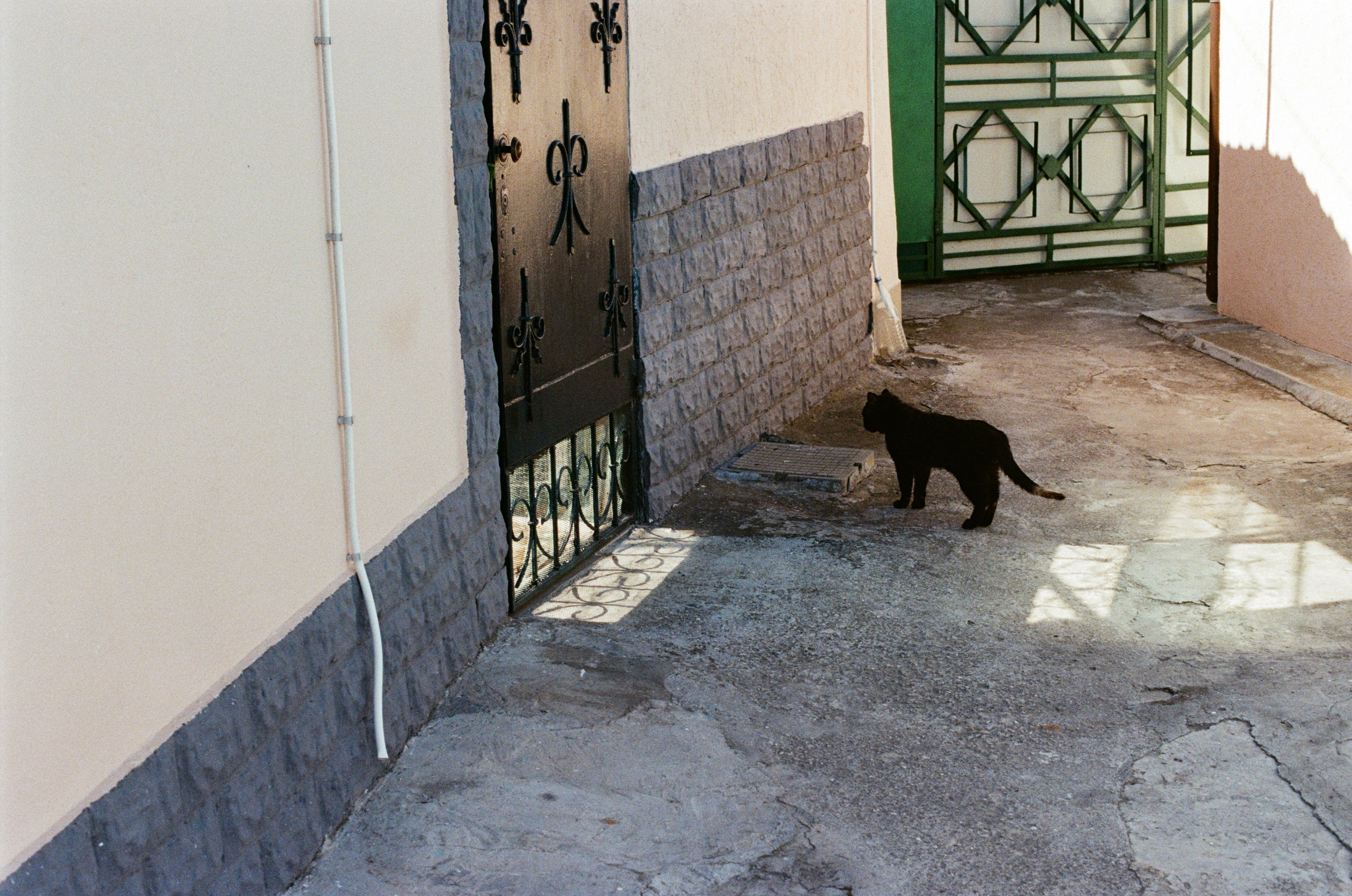 Press enter to exit // ukraine, crimea IX. EVER EXPOSED