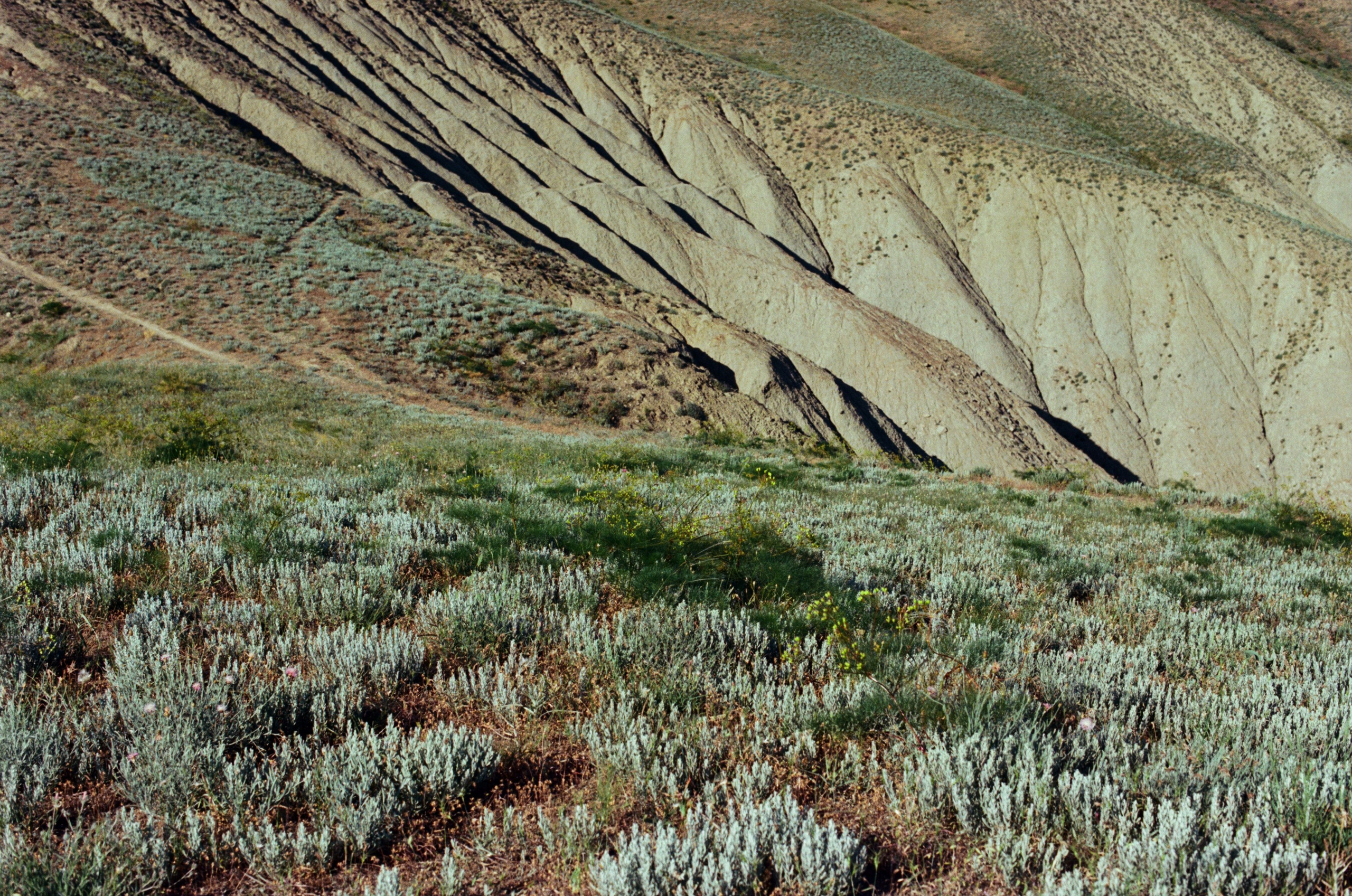 Kool-aid // ukraine, crimea. EVER EXPOSED
