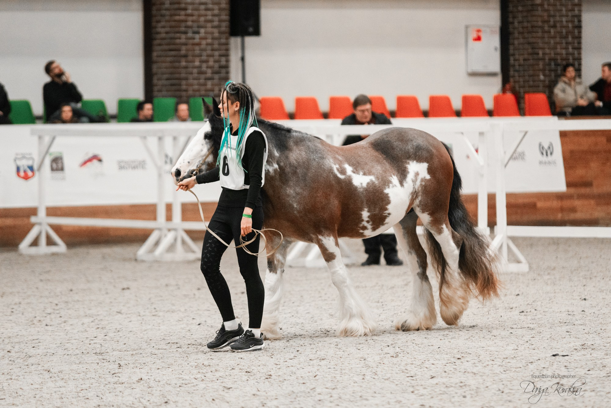 8-я международная выставка Конная Россия. Конный фотограф Куракина Дарья • Фотосессии с лошадьми
