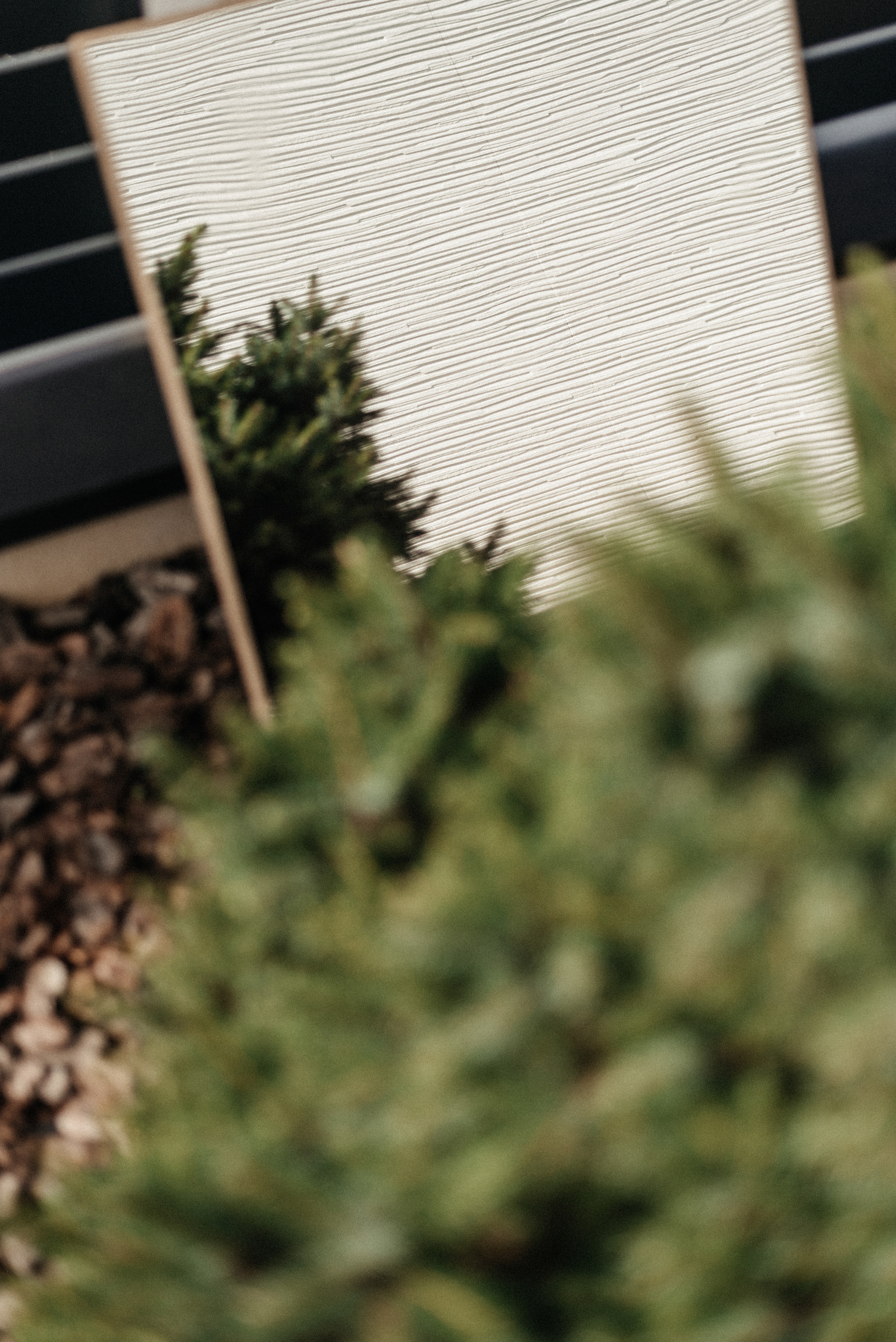 Кинопроект «Не одна дома». Портретный и семейный фотограф в Минске Галина Цареня