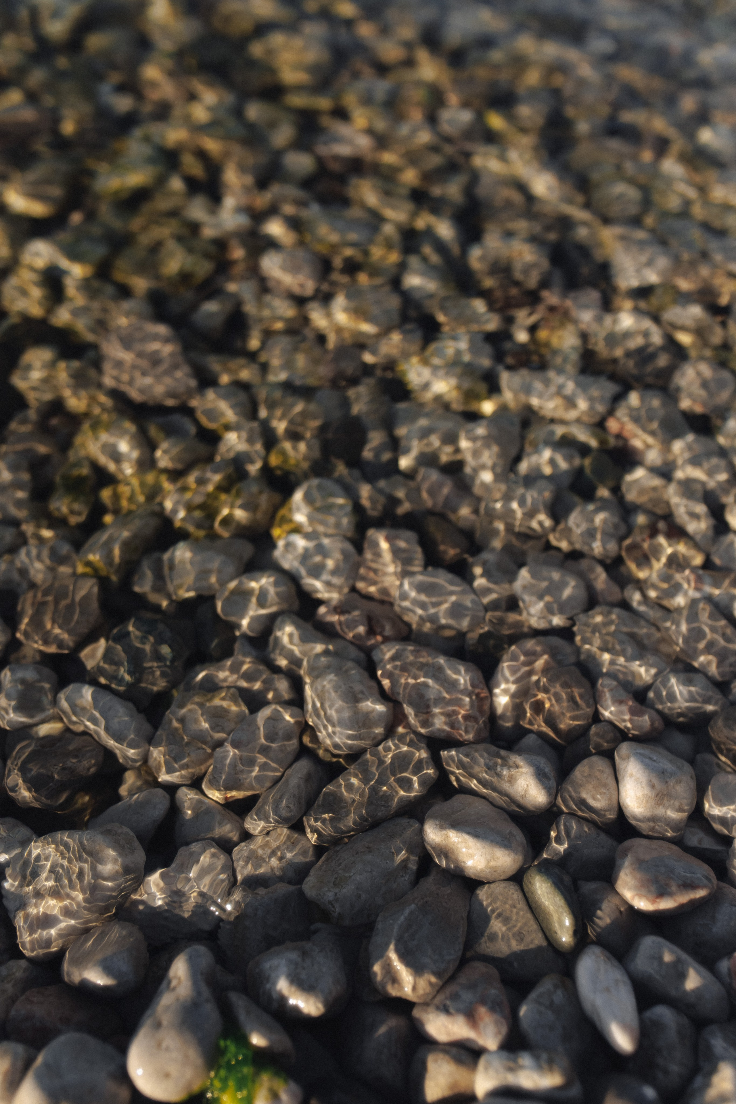 Vika & Roman. Свадебный фотограф в Севастополе и Крыму| Tanya Sher