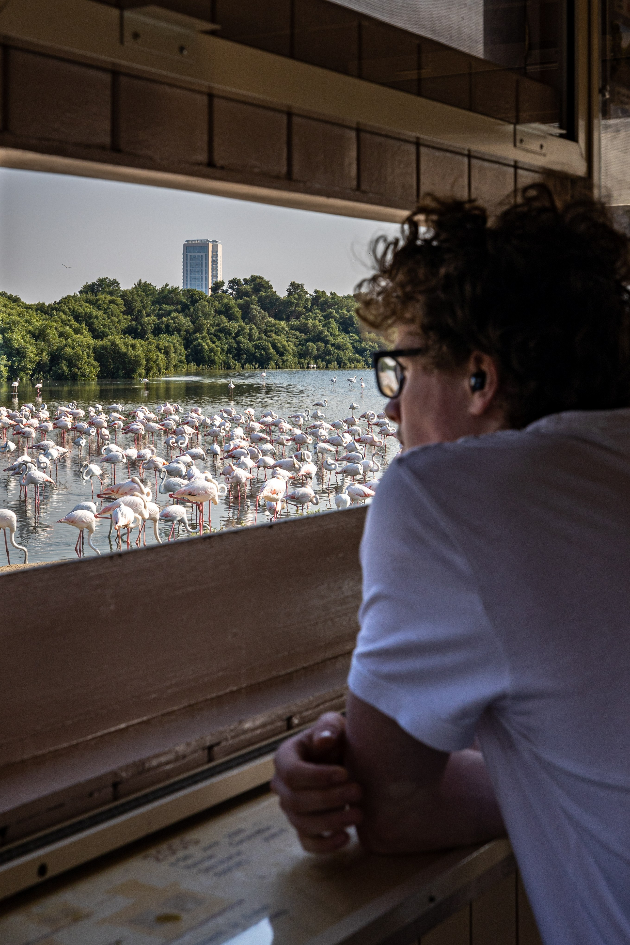 Новогодняя поездка в Дубай. Фотографирую жизнь! Московский фотограф волонтер