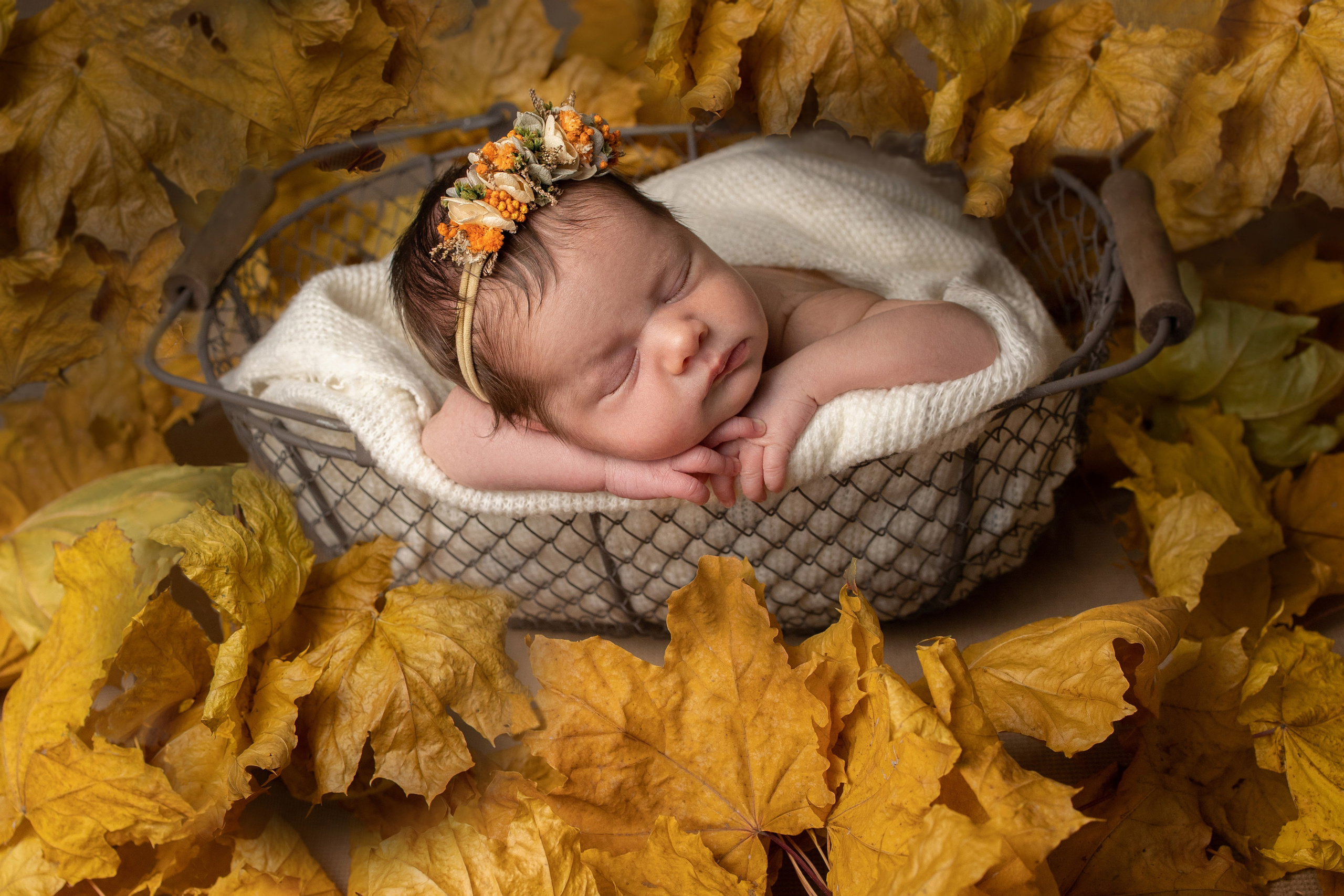 Новорождённые. ФОТОГРАФ НОВОРОЖДЁННЫХ САНКТ-ПЕТЕРБУРГ — ДАРЬЯ ПОПОВА