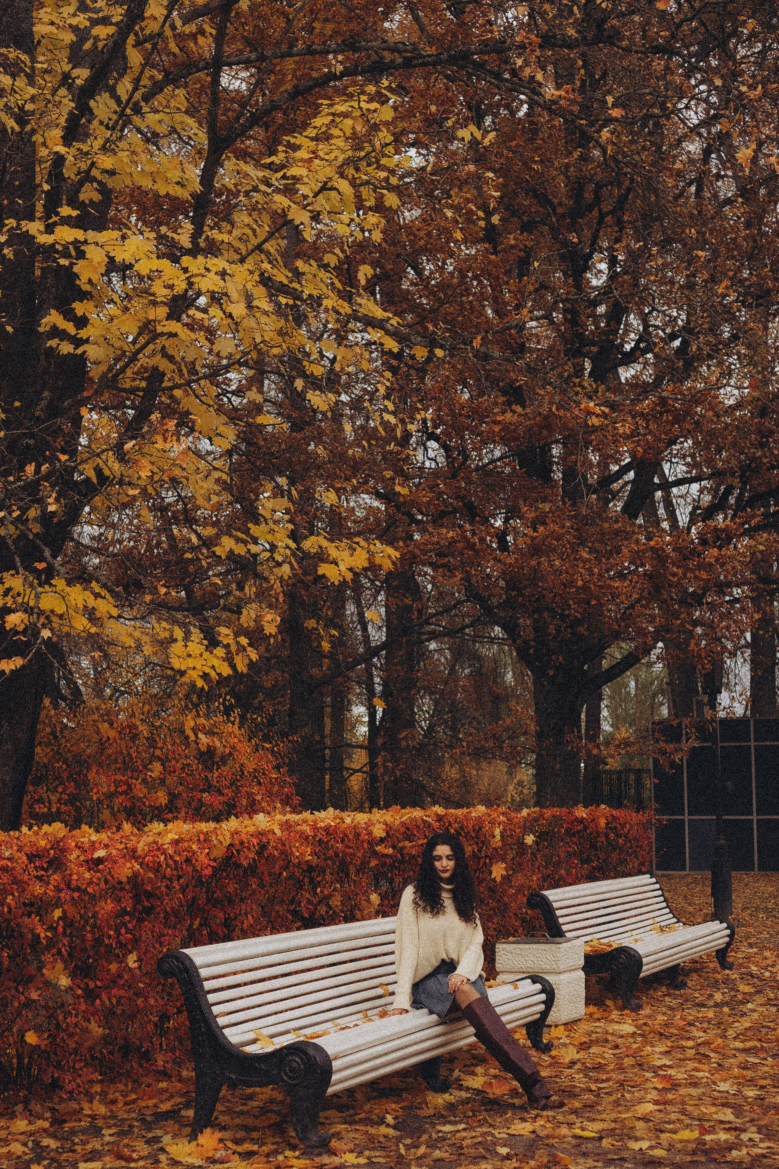 Осеняя прогулка. Профессиональный фотограф, Санкт-Петербург — Виктория Богомолова