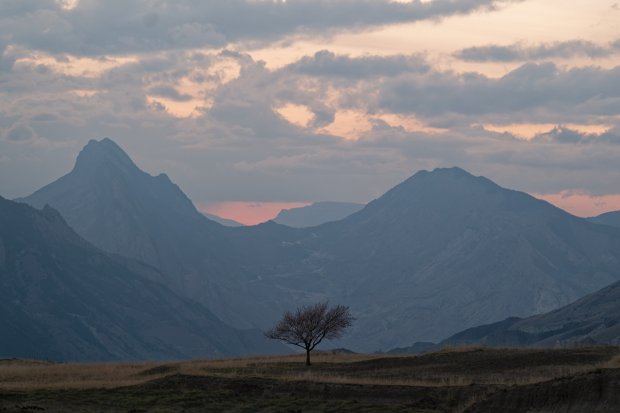 Жизнь в движении. Я.Камера.Спорт