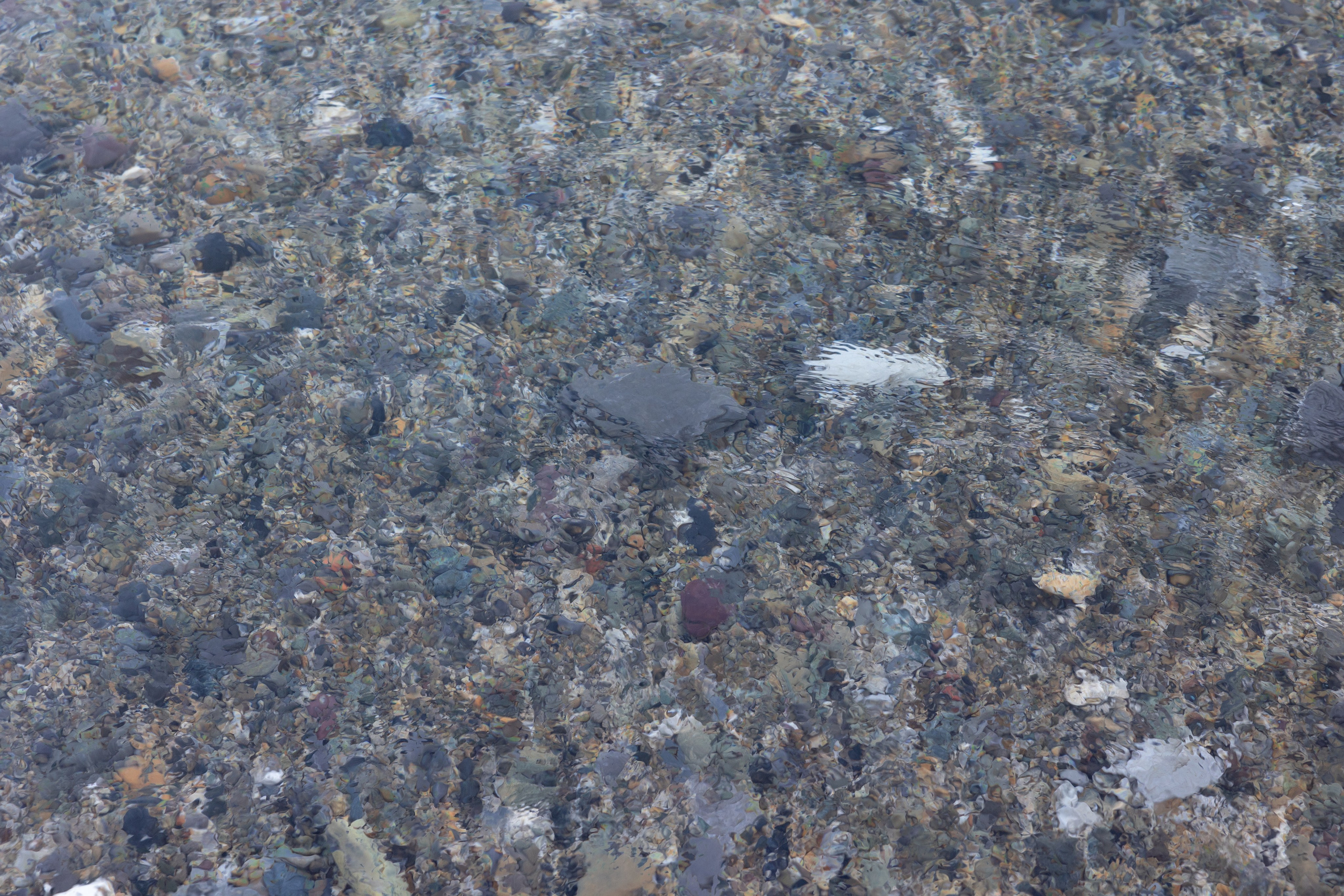 Art prints. Фотограф алина стерхова, алина стерхова фотограф, фотограф москва