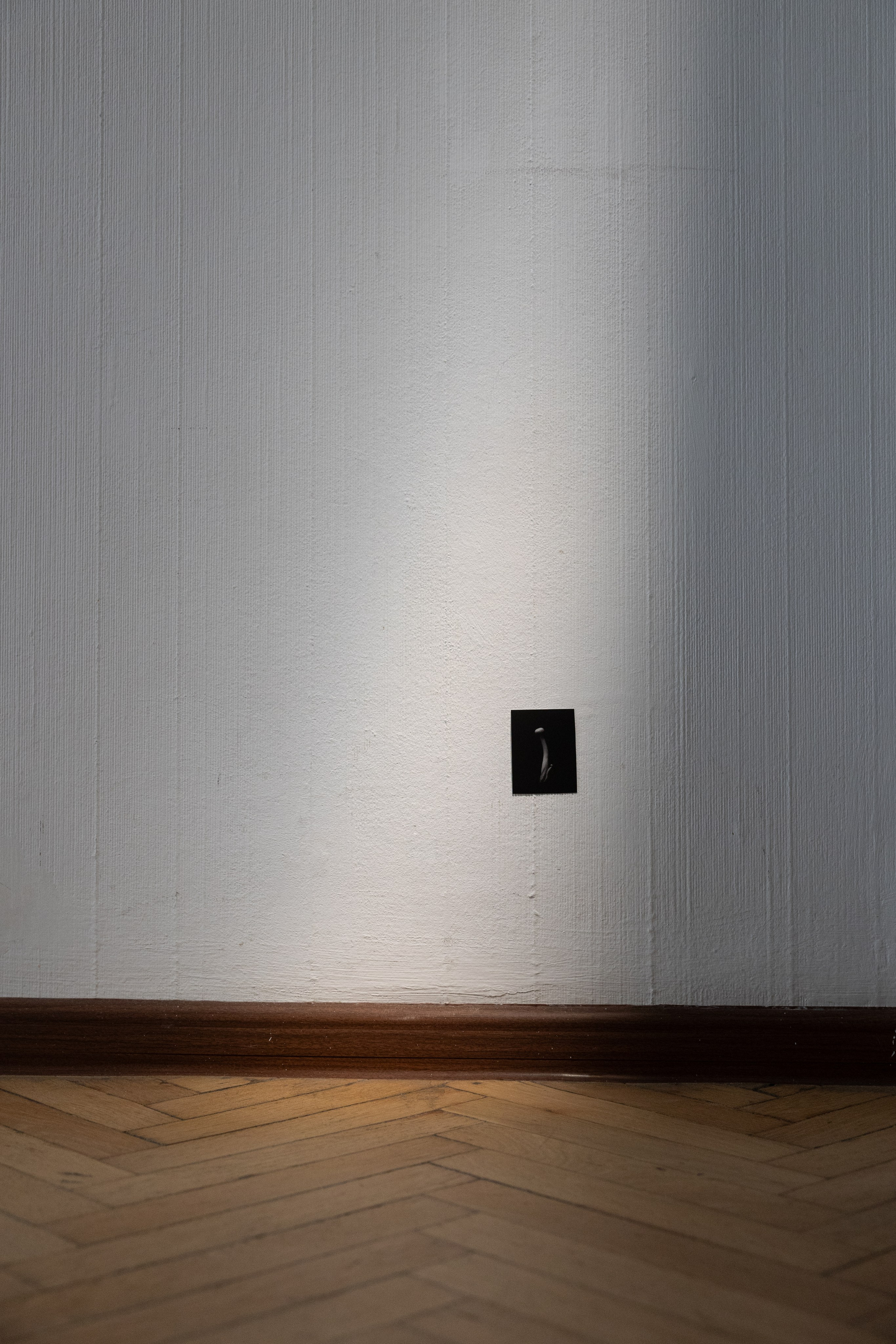 Personal exhibition Interior landscape 2025. Фотограф алина стерхова, алина стерхова фотограф, фотограф москва