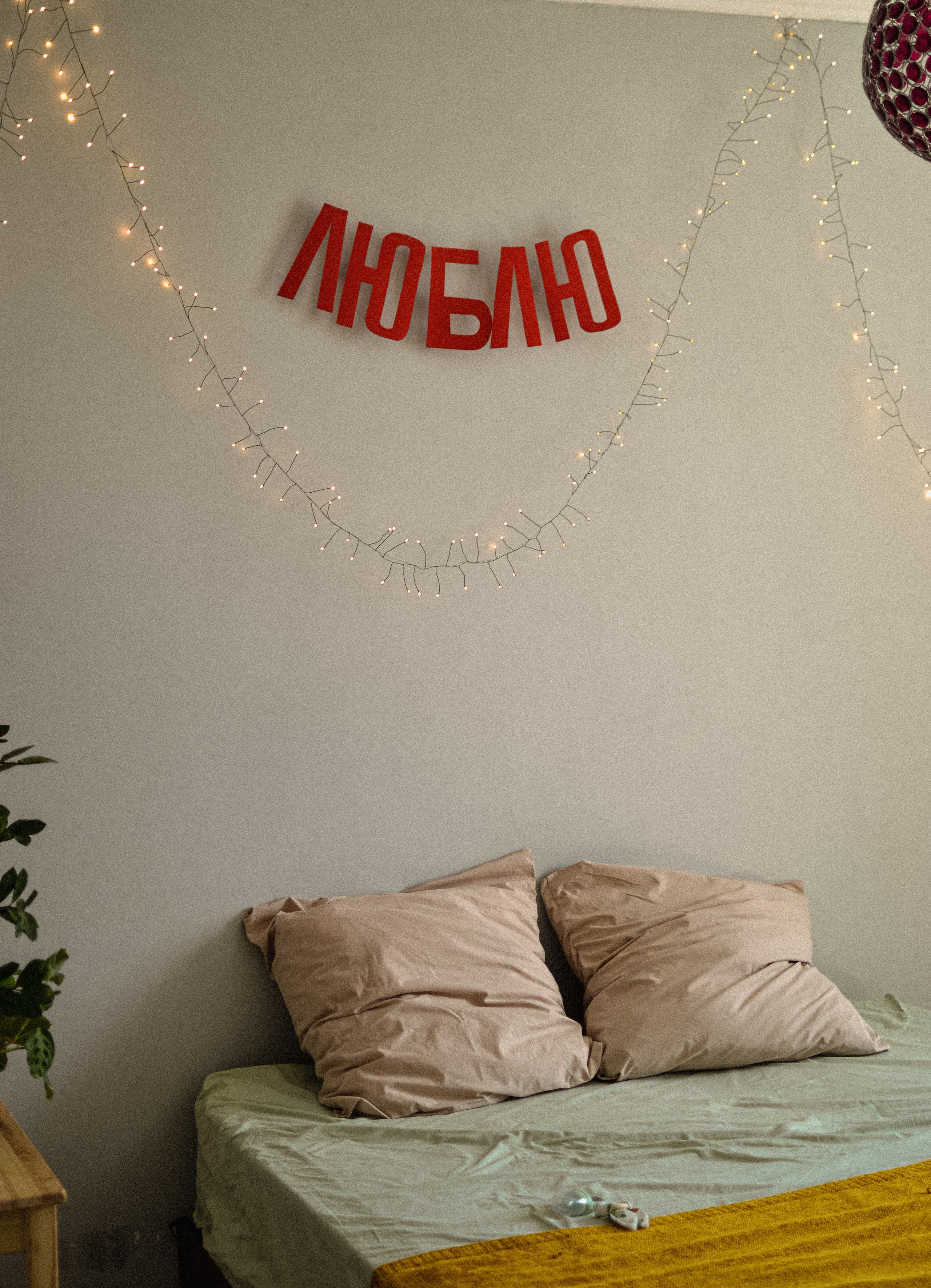 Домашняя история. Meryfotoidea