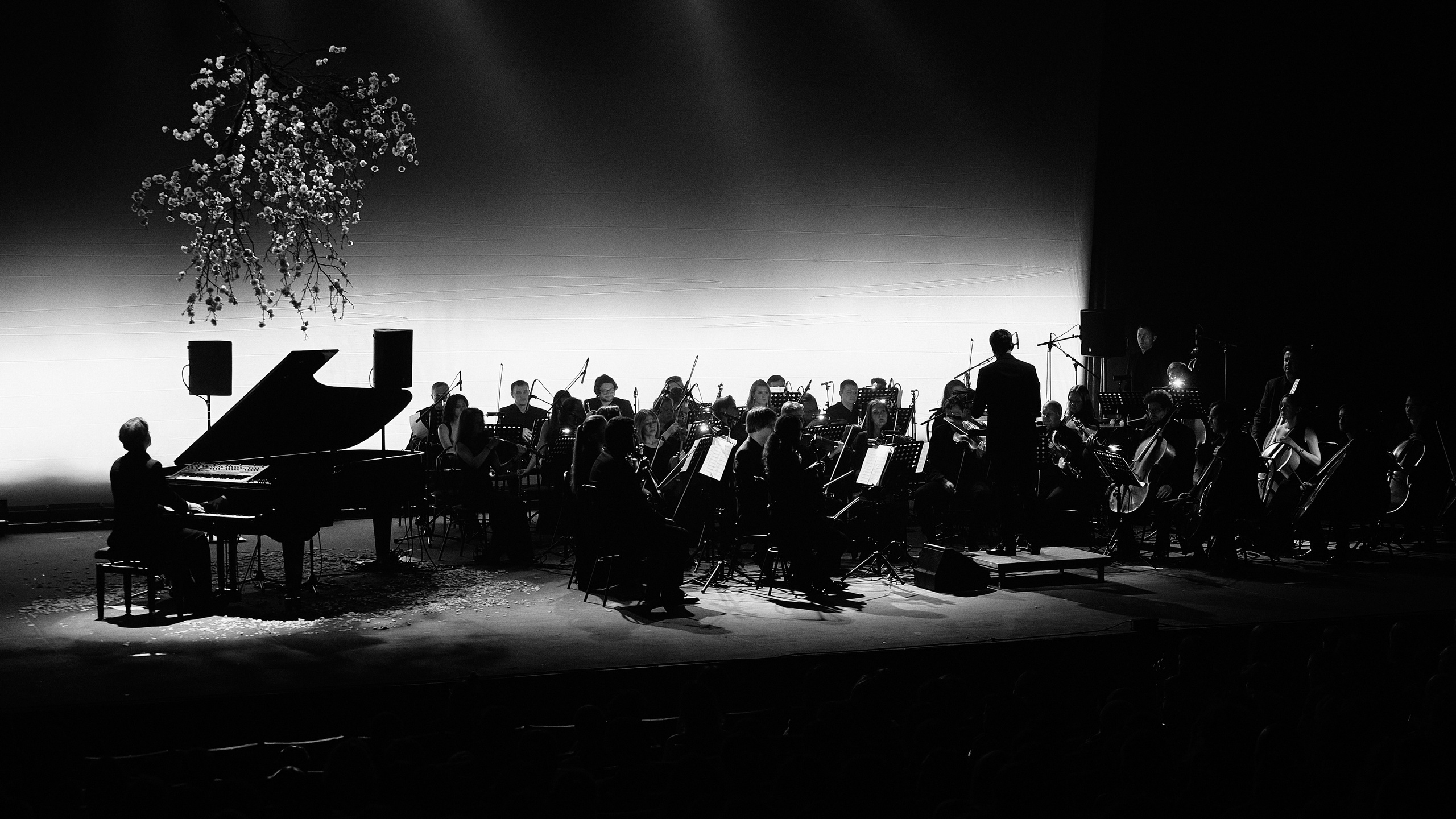 Никола Мельников / 2024. OOPS