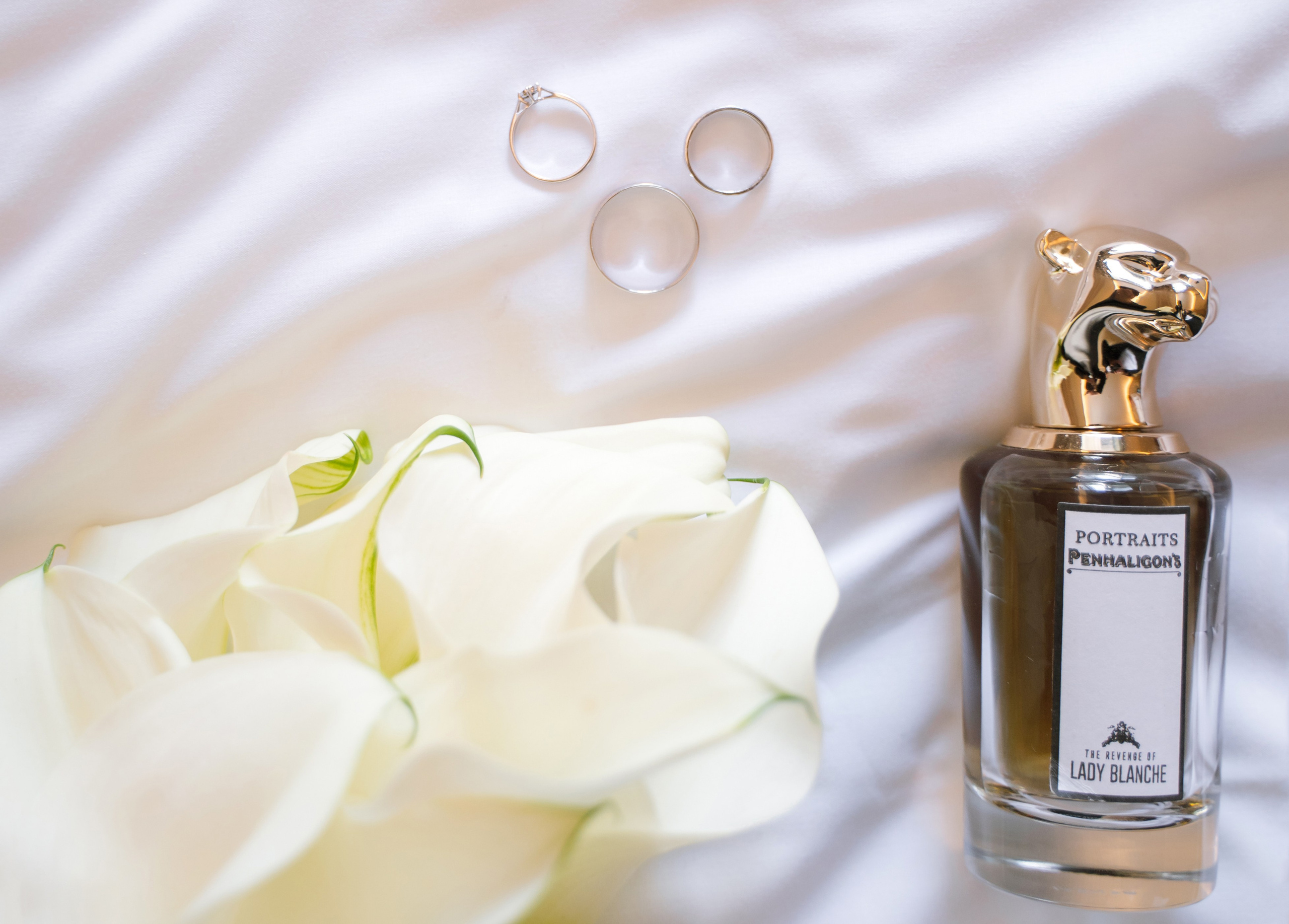 Диана и Даниил. Фотограф в Санкт-Петербурге Алексей Глазанов