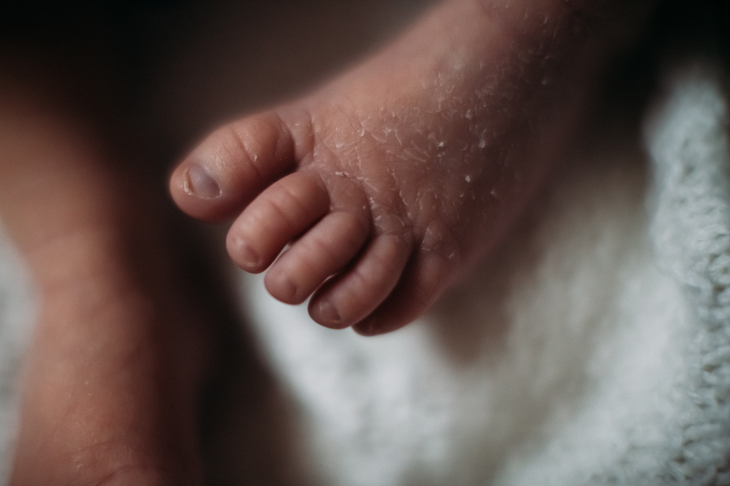 Newborn. Фотограф Дубна