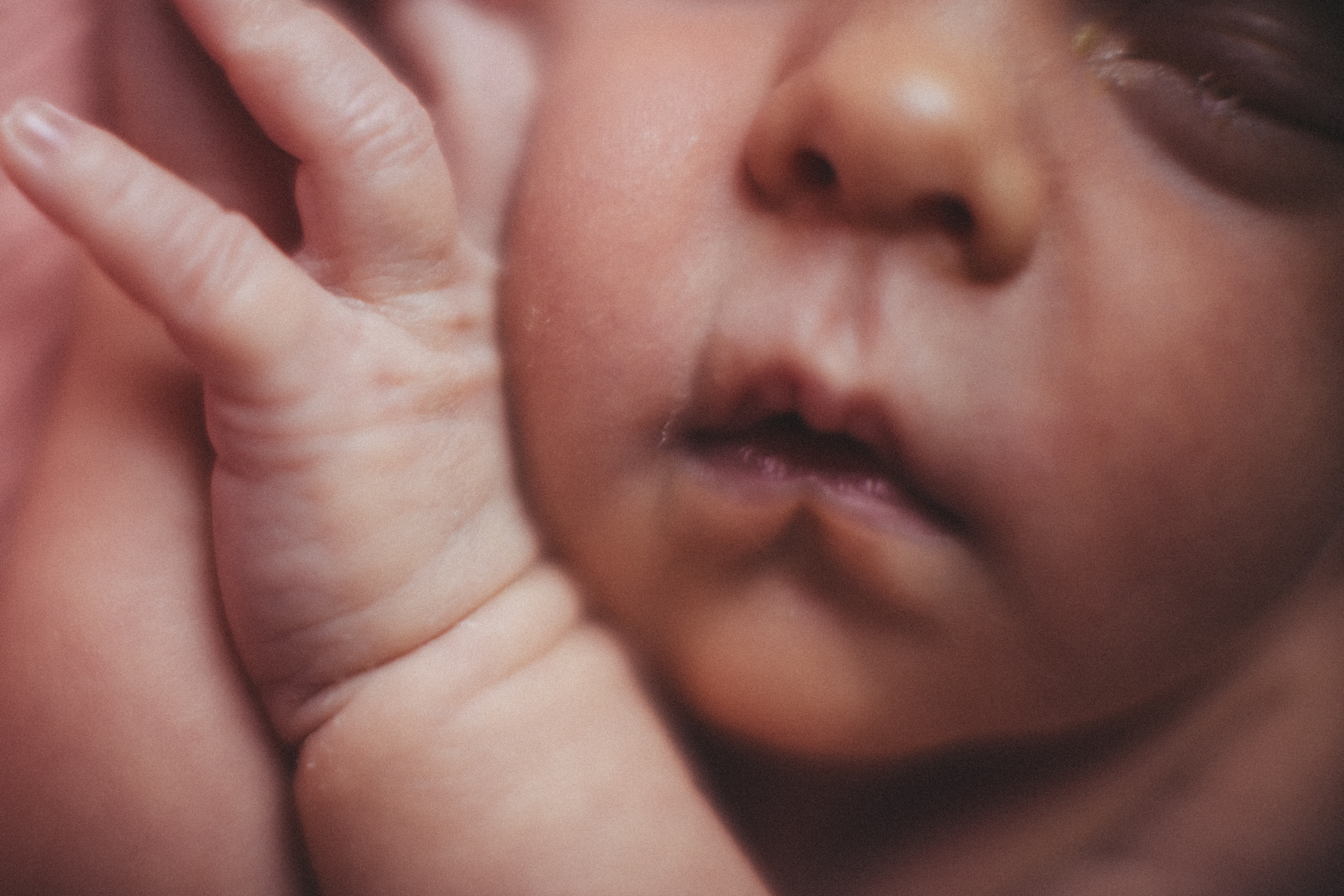 Newborn. Фотограф Дубна
