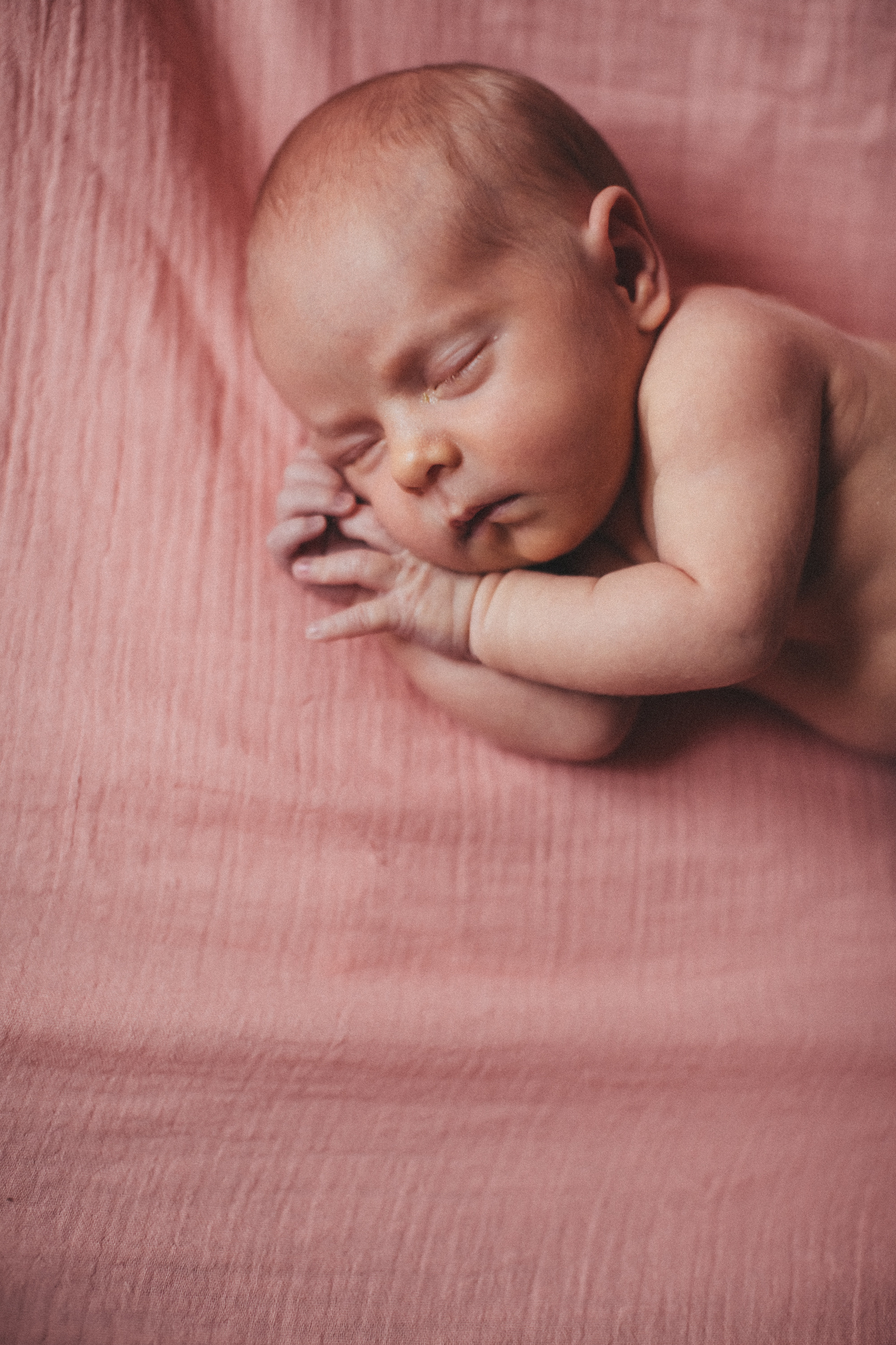 Newborn. Фотограф Дубна
