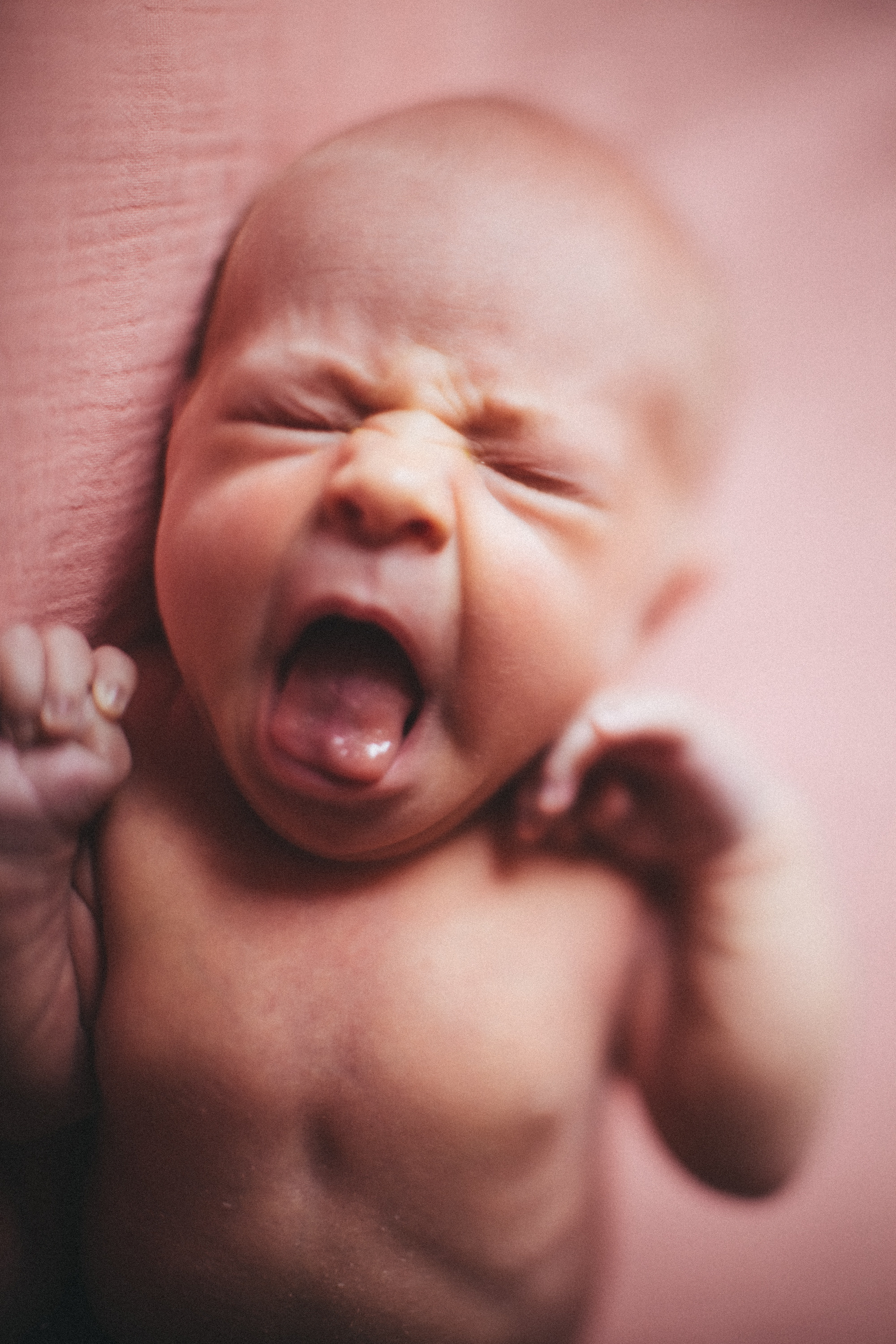 Newborn. Фотограф Дубна