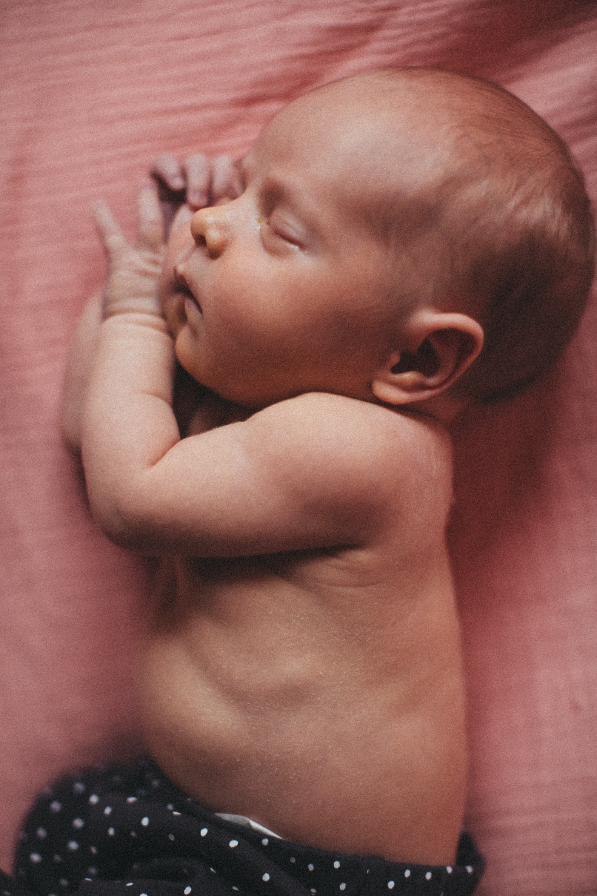 Newborn. Фотограф Дубна