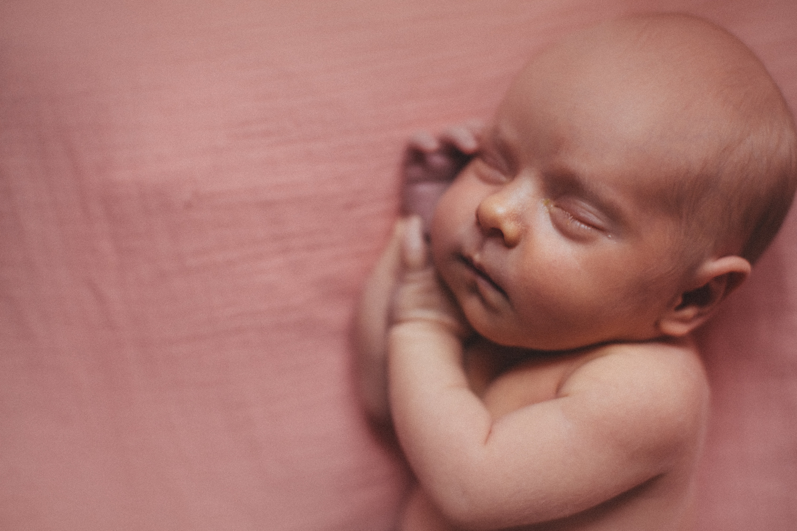 Newborn. Фотограф Дубна