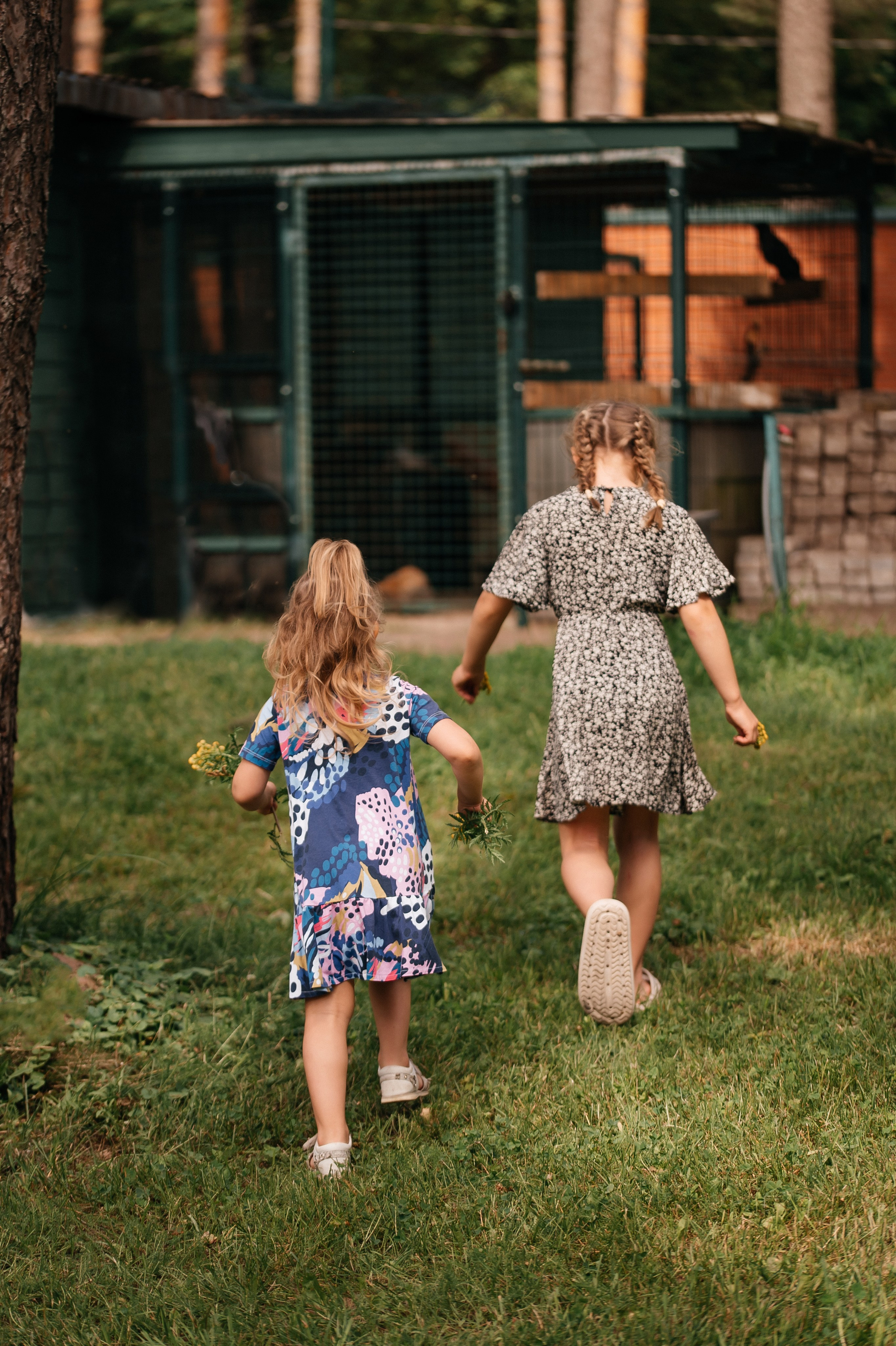 ANONS. Мария — Свадебный фотограф