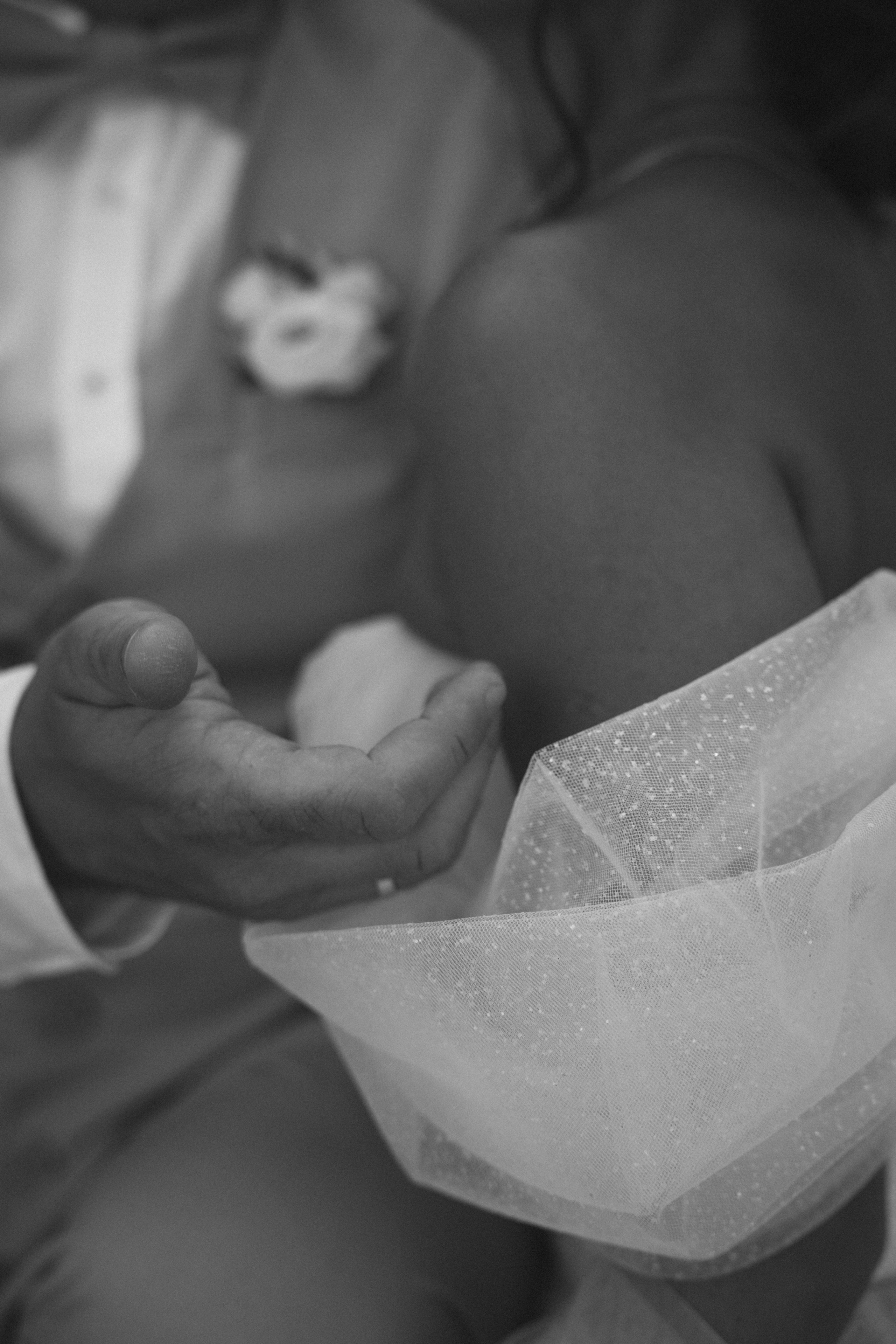 Кристина и Вова. Семейный фотограф Губкин/Старый Оскол