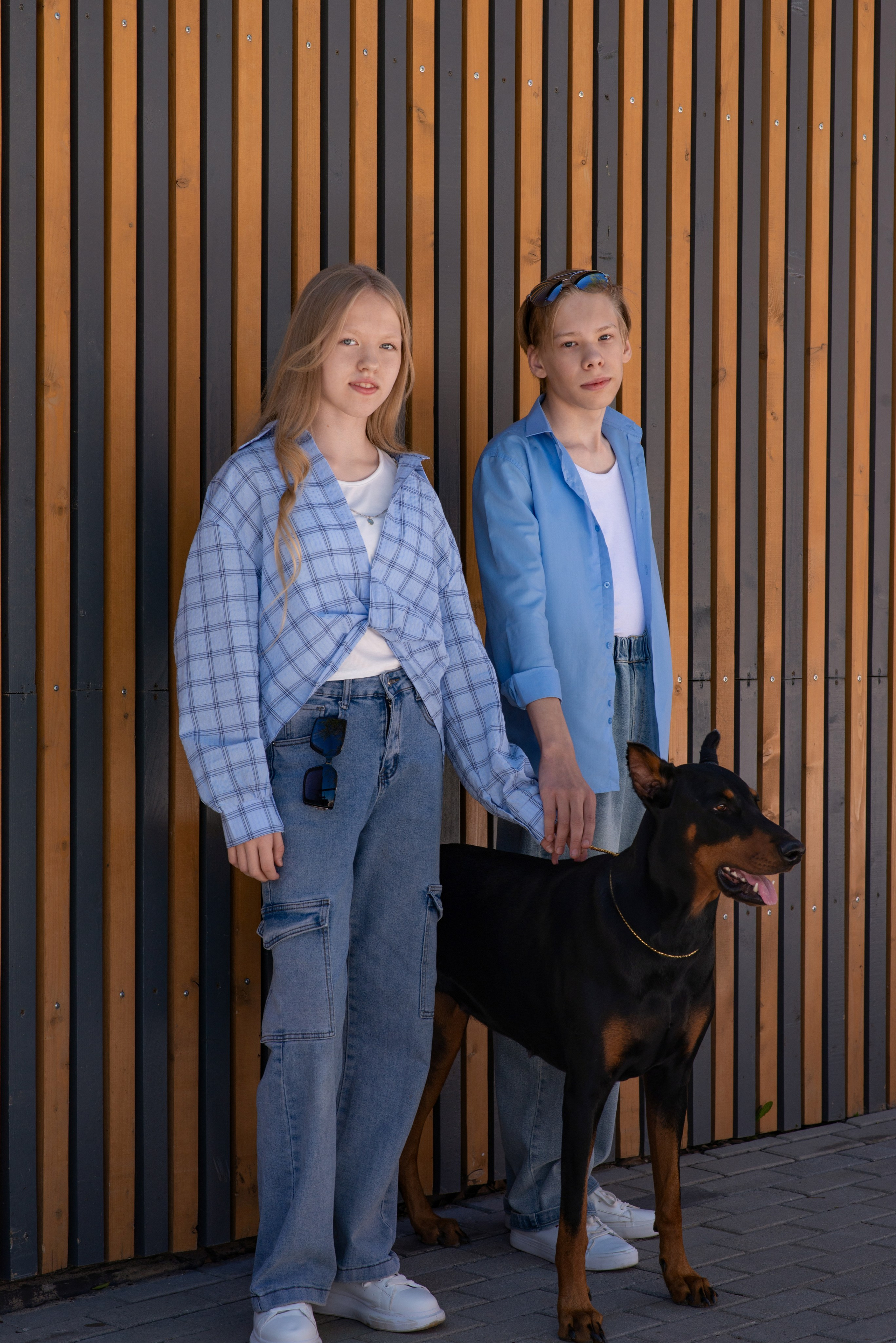 Уличная Фотопроект «Доберман». Фотограф Софья Власенко | Вологда