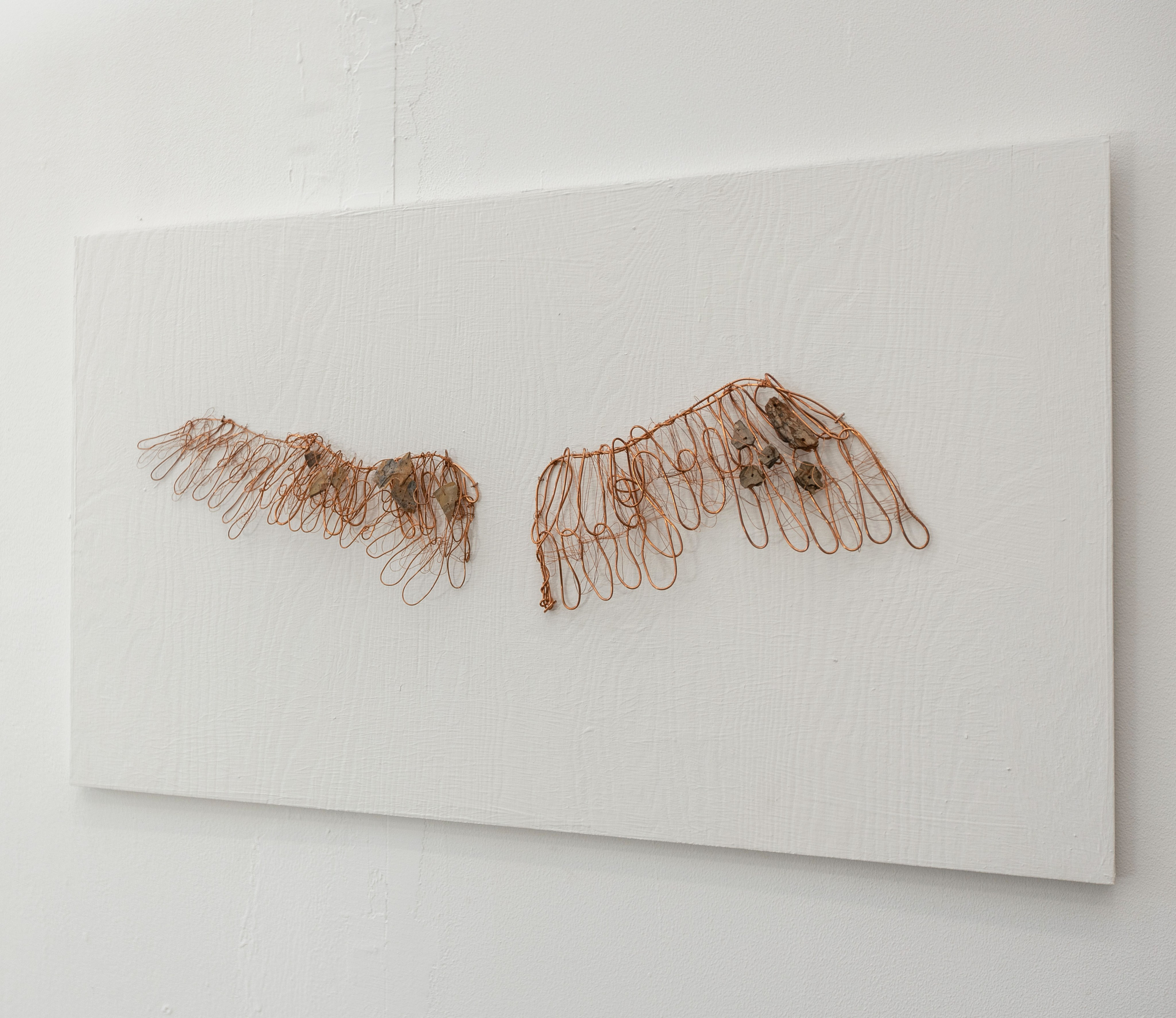 Birds of Paradise / 2024