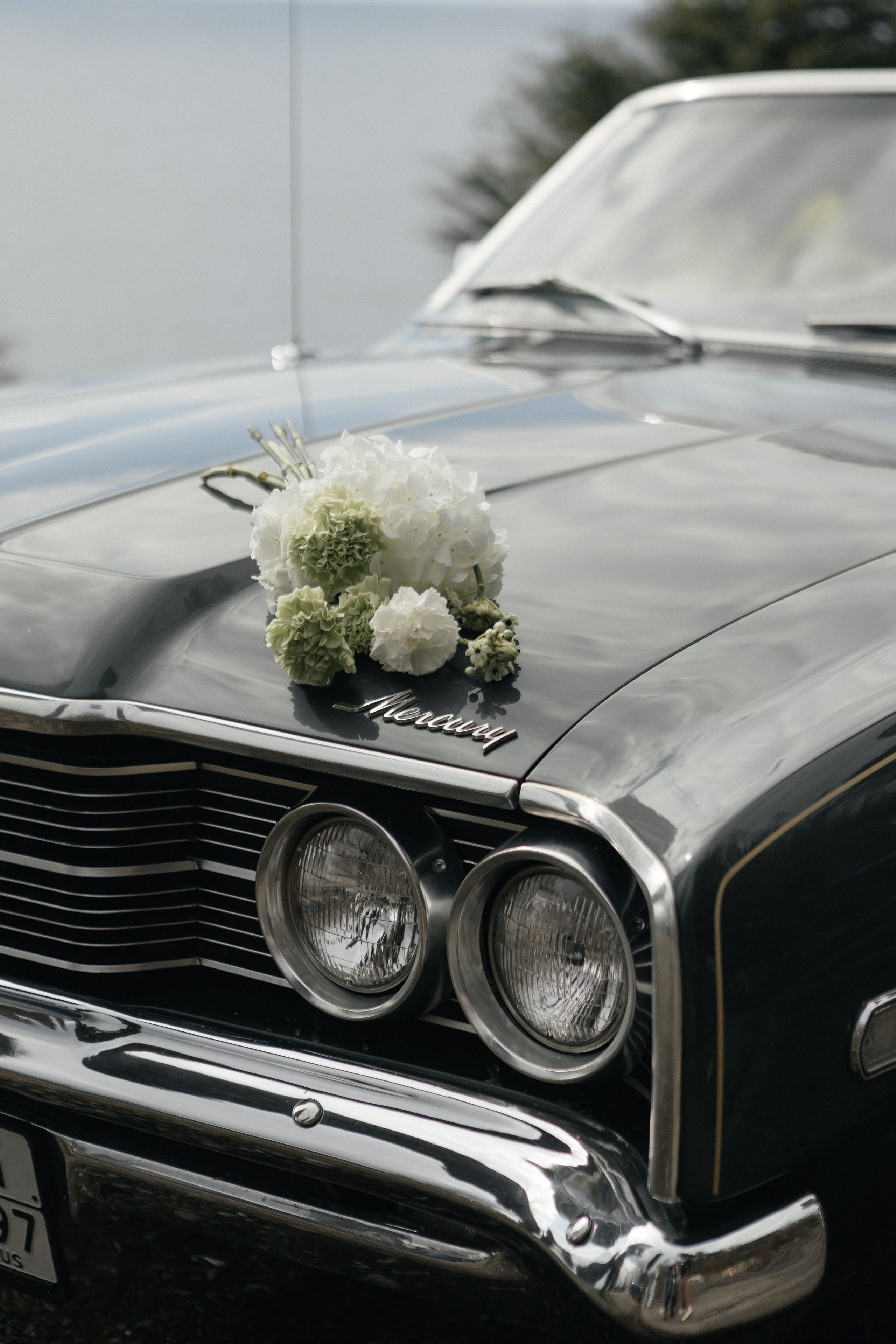 Sochi. Свадебный фотограф в Туле, Москве и по всей России Ангелина Зеленина