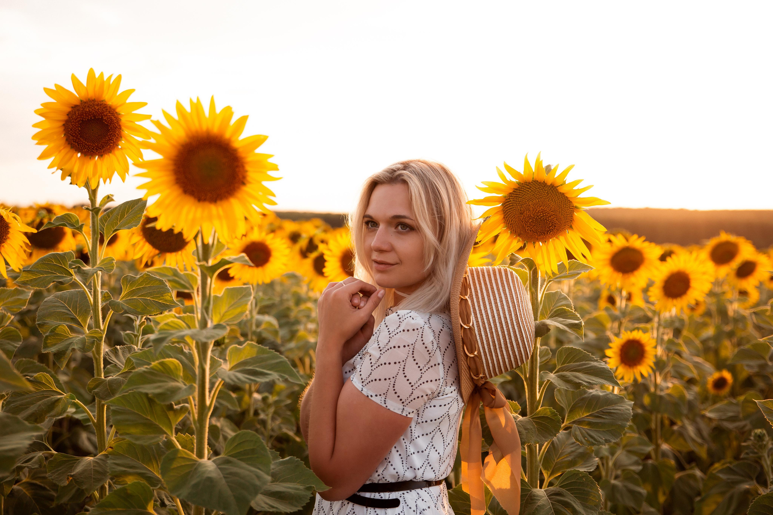 Алена, подсолнухи и закат. Фотограф Ступино, Коломна, Москва