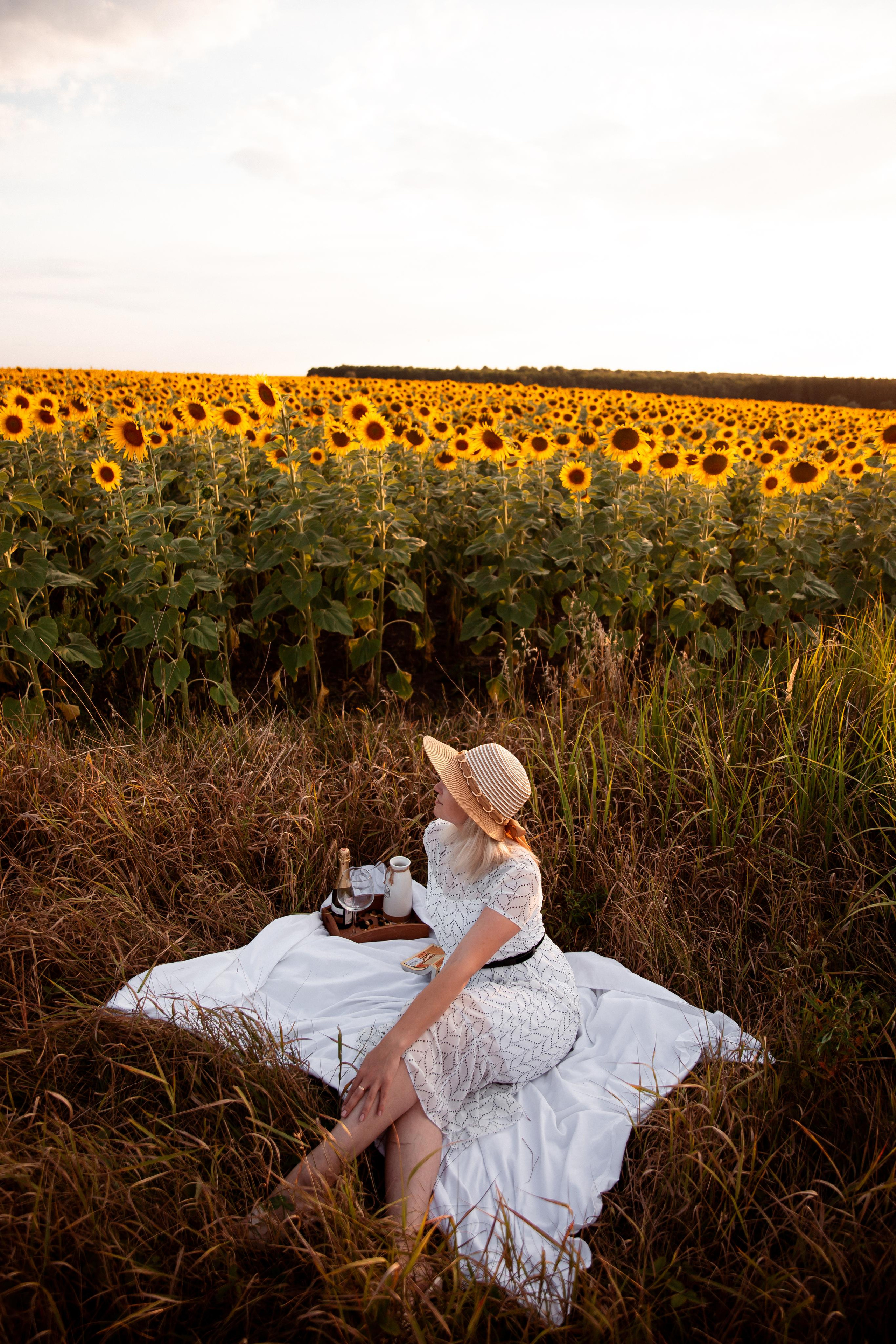 Алена, подсолнухи и закат. Фотограф Ступино, Коломна, Москва