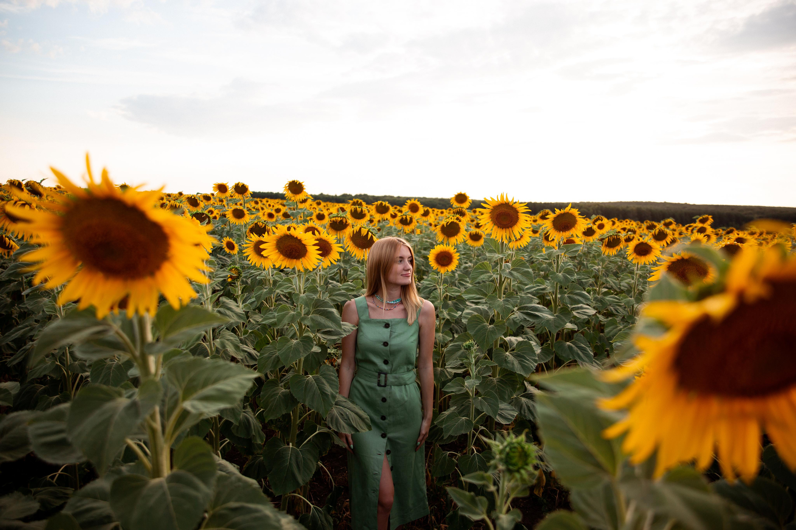 Таня и море подсолнухов. Фотограф Ступино, Коломна, Москва