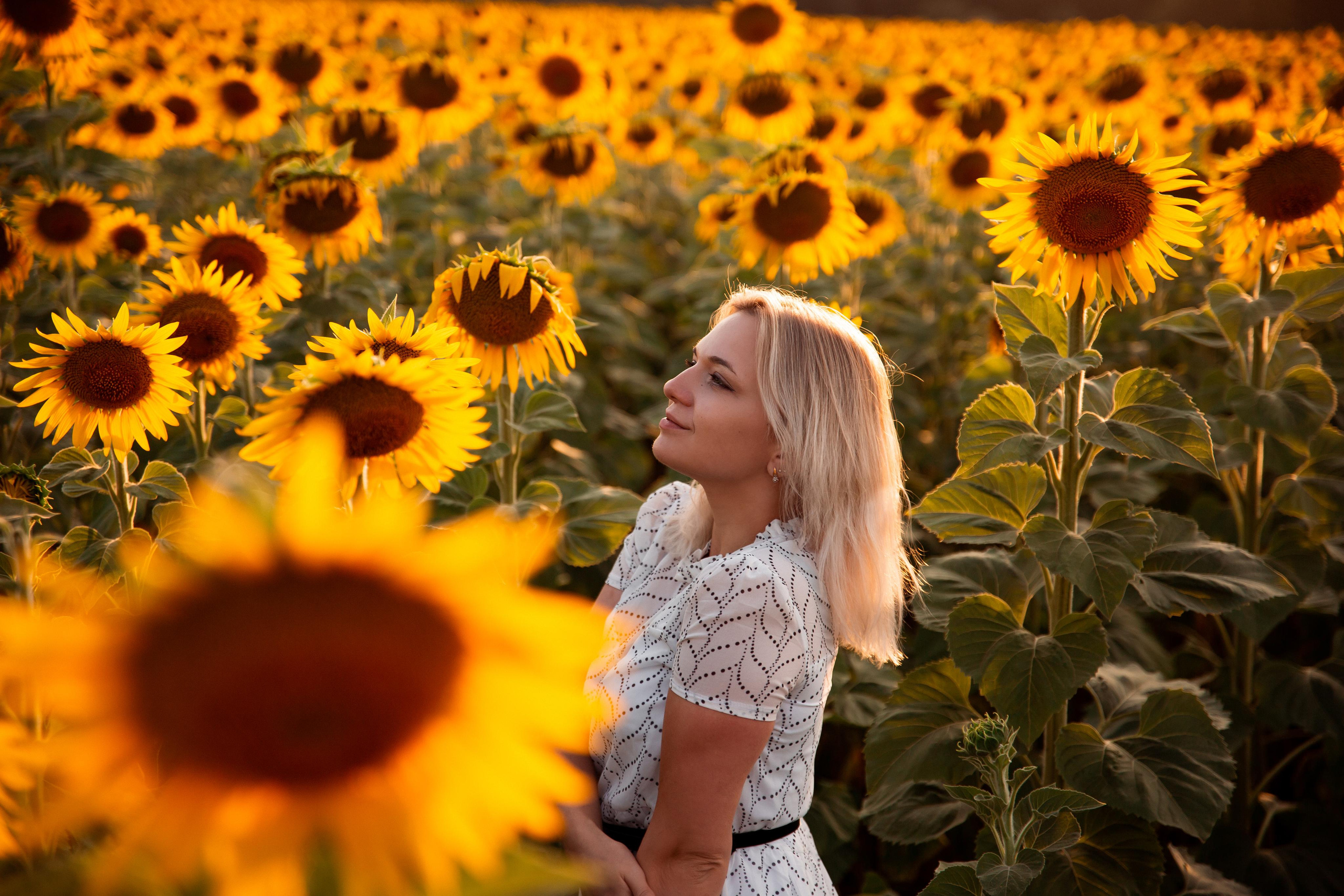 Алена, подсолнухи и закат. Фотограф Ступино, Коломна, Москва
