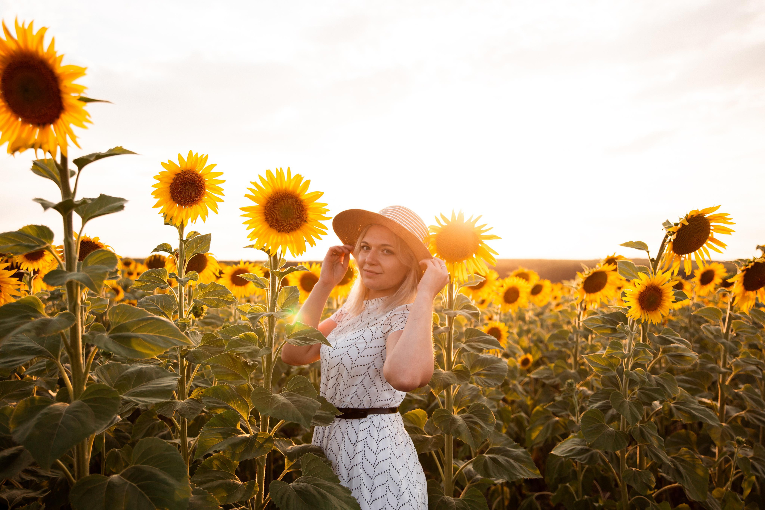 Алена, подсолнухи и закат. Фотограф Ступино, Коломна, Москва