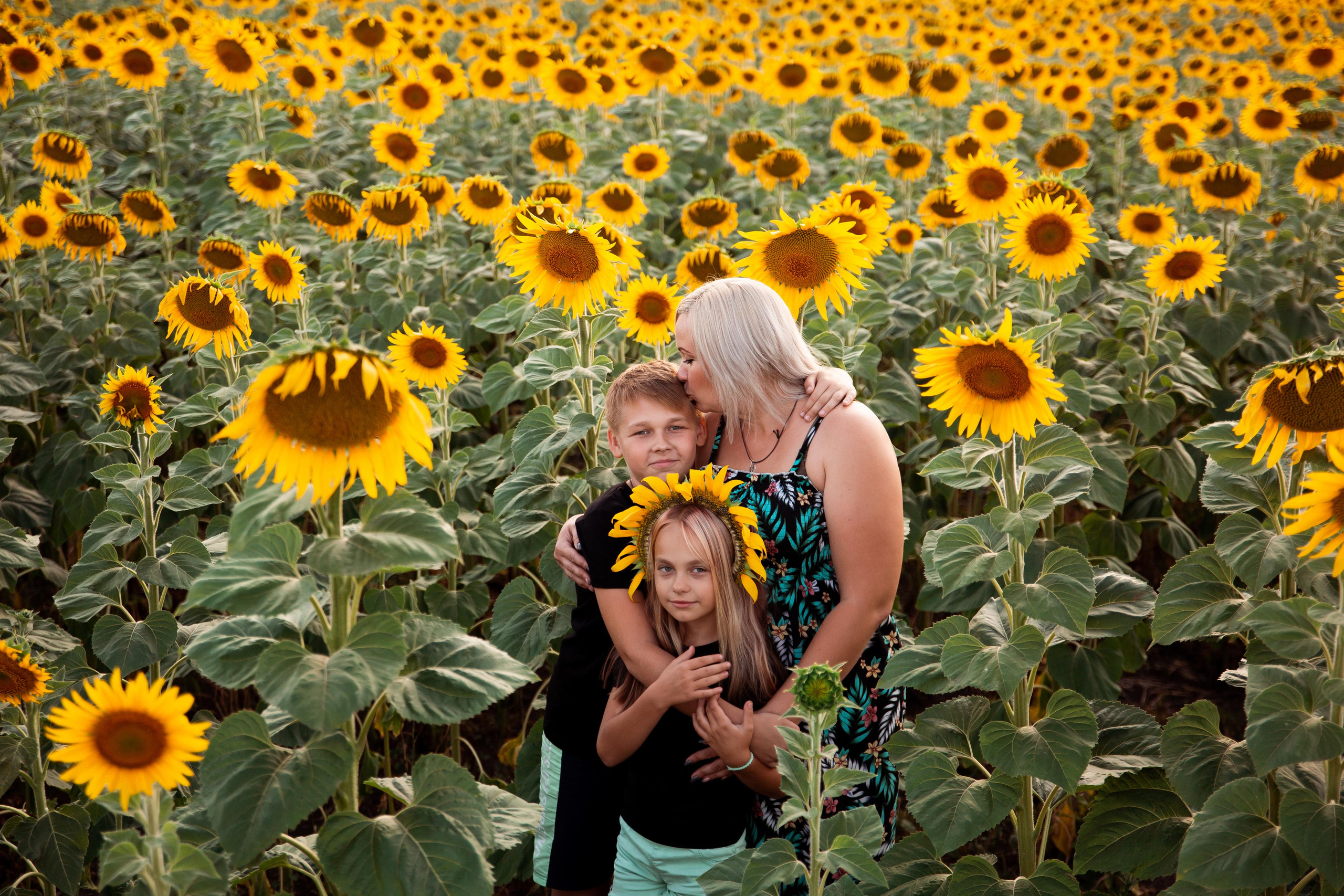 Подсолнухи. Фотограф Ступино, Коломна, Москва