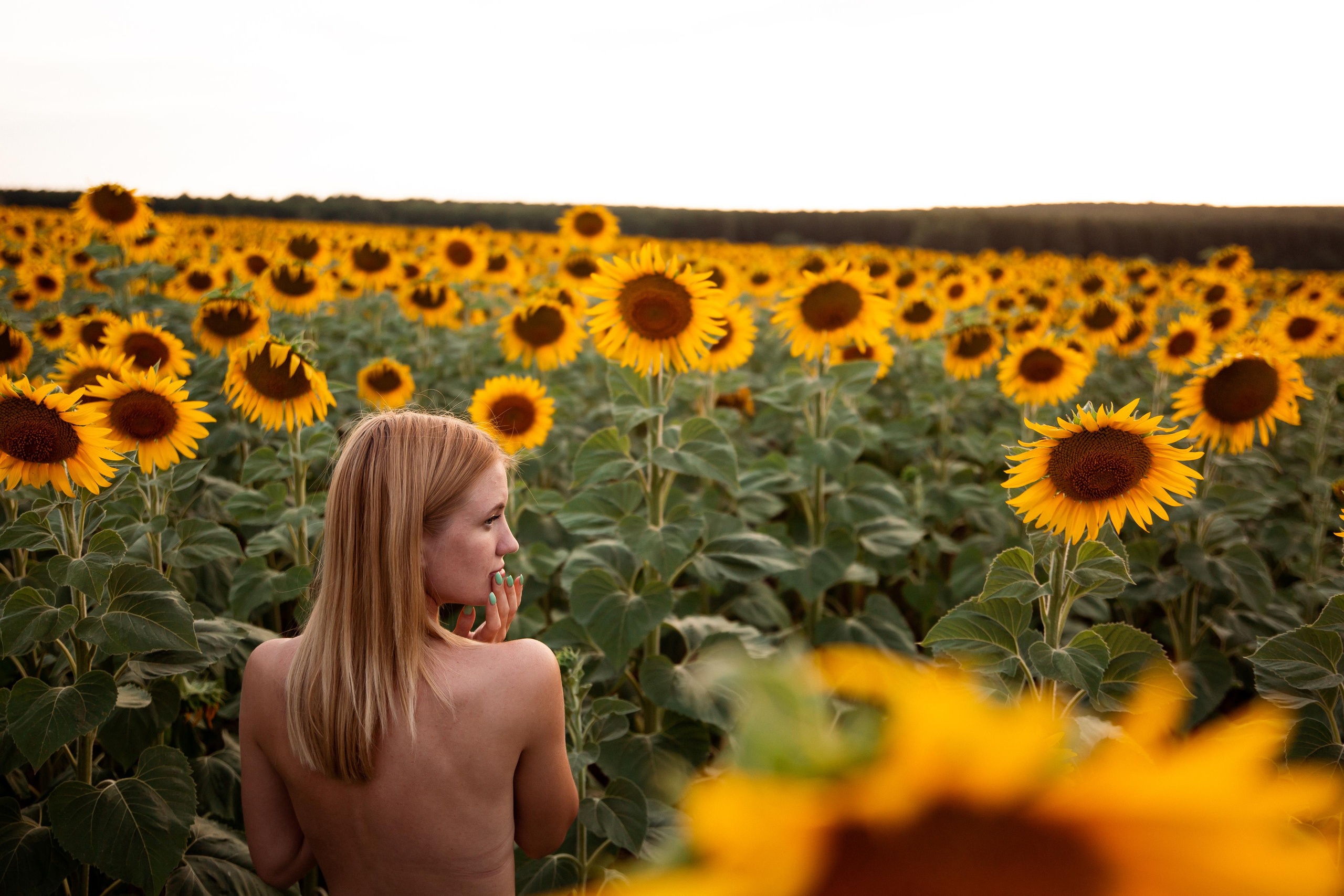 Таня и море подсолнухов. Фотограф Ступино, Коломна, Москва