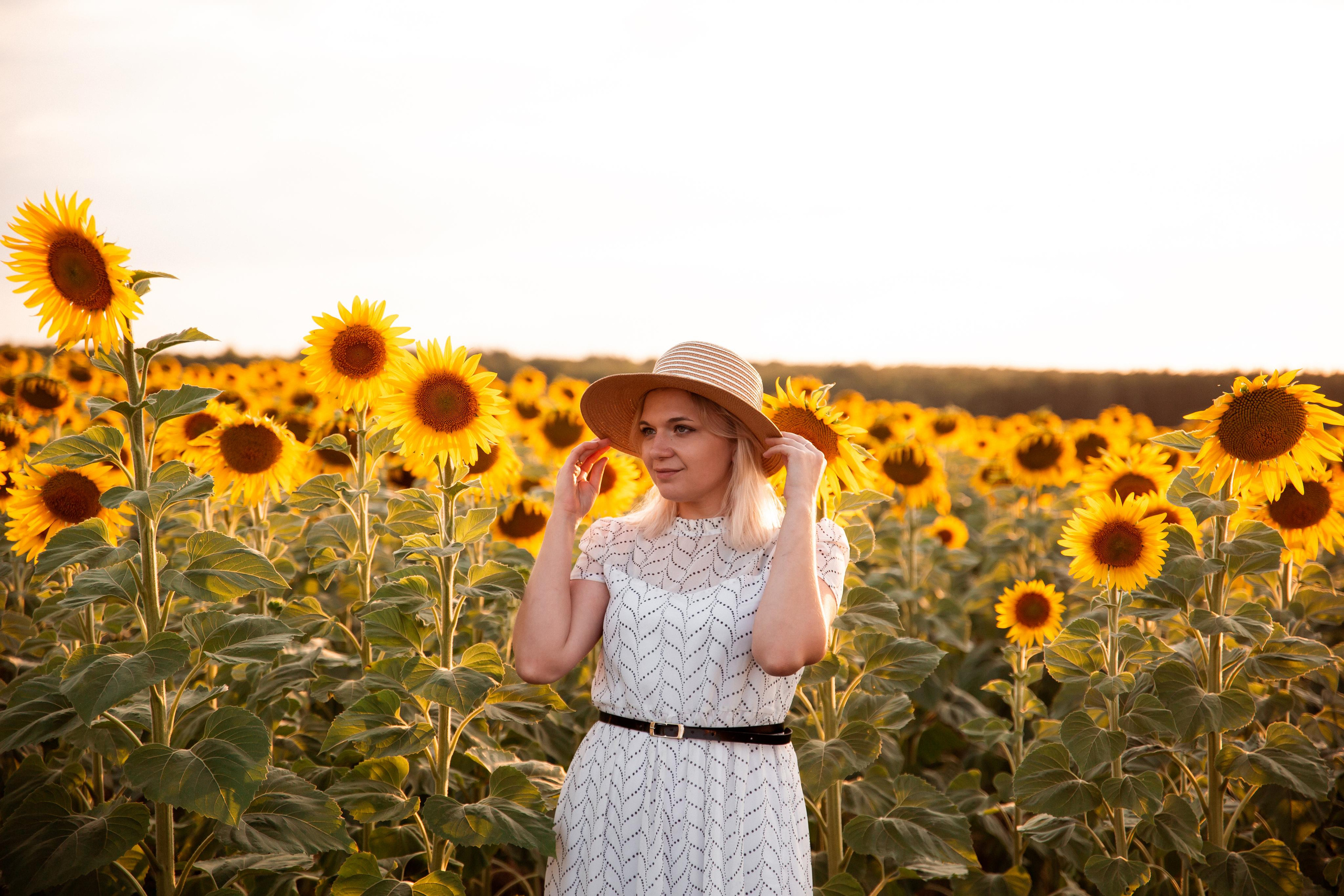 Алена, подсолнухи и закат. Фотограф Ступино, Коломна, Москва