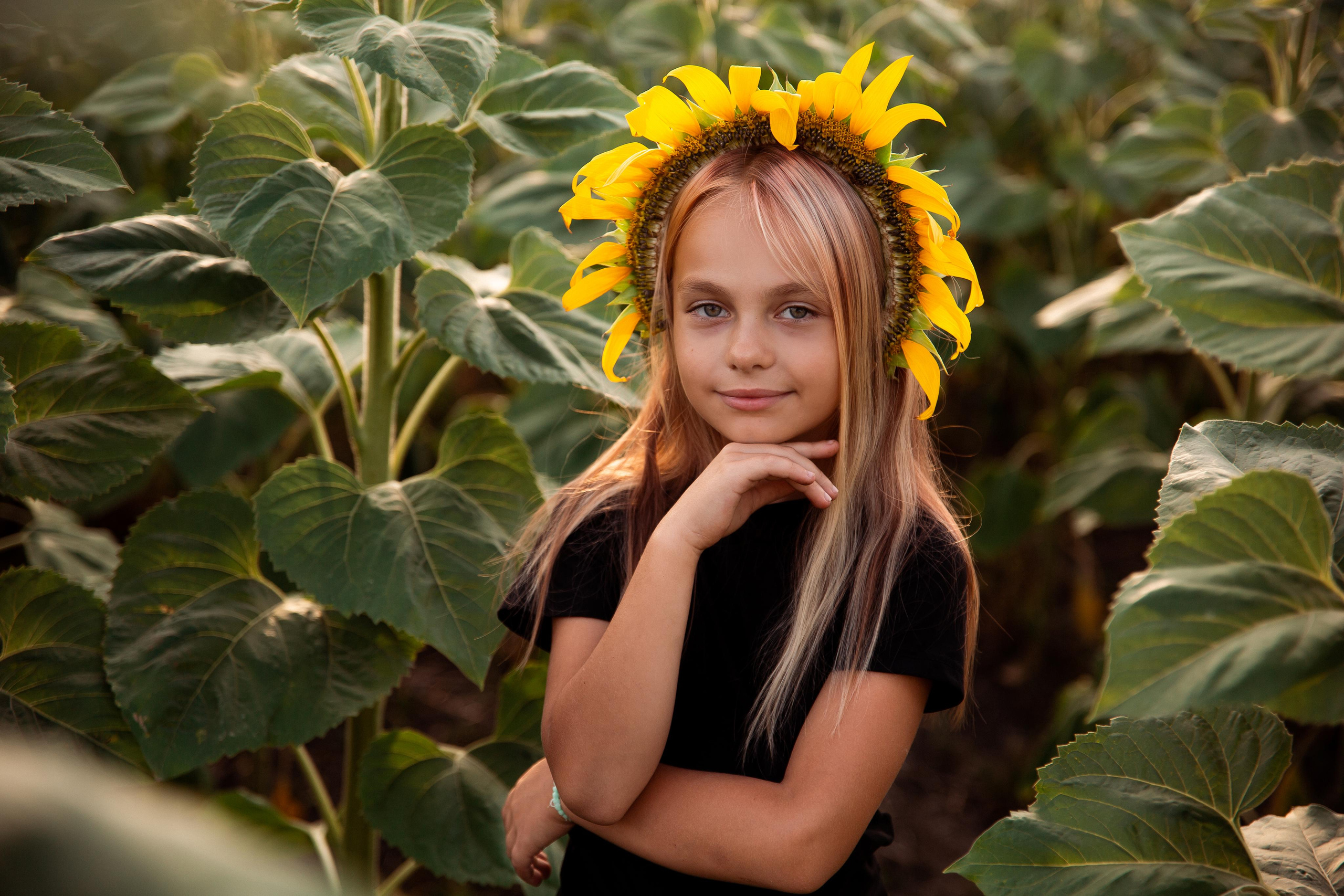 Подсолнухи. Фотограф Ступино, Коломна, Москва